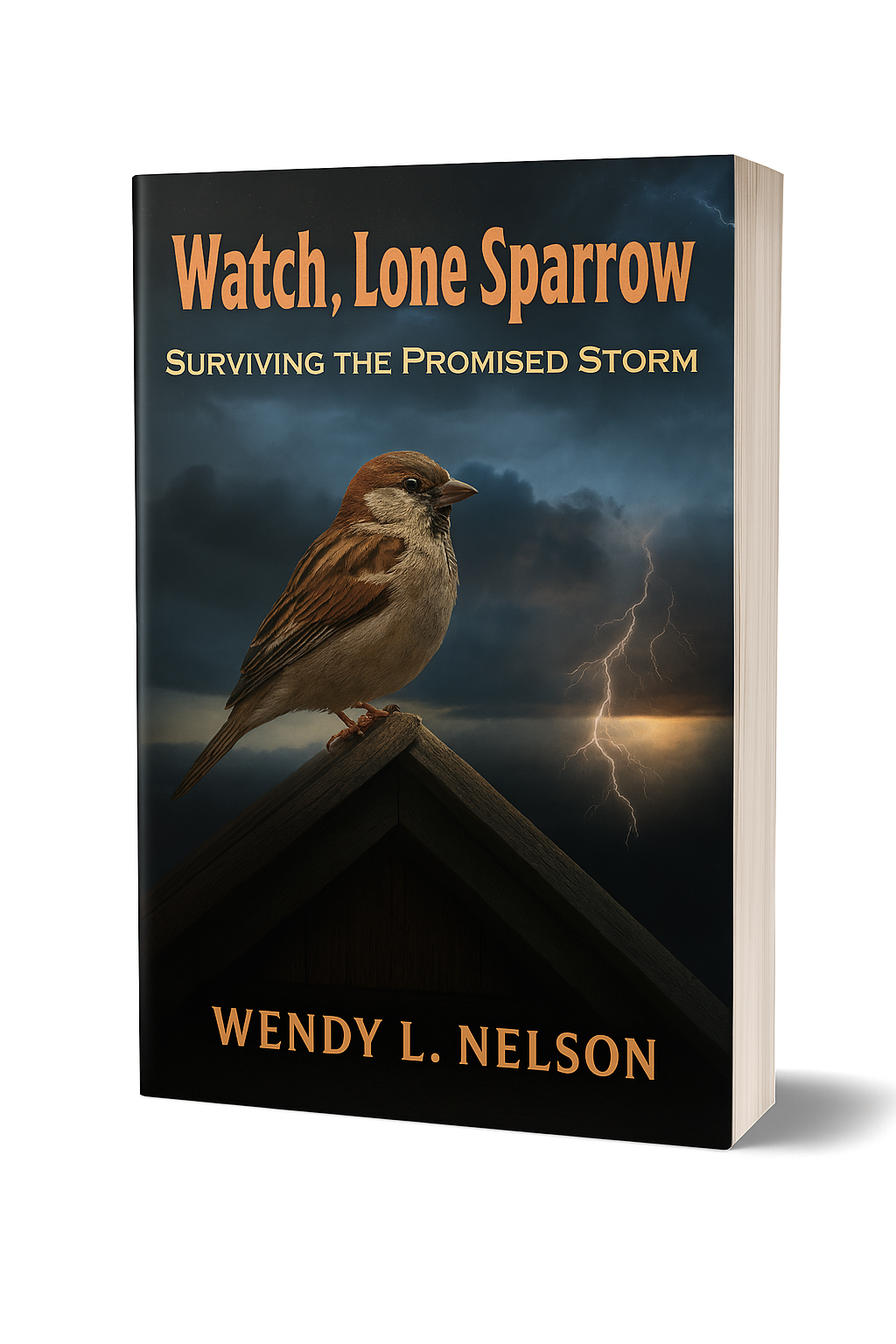 Surviving the Promised Storm, Christian suspense fiction, navigating societal collapse and prophetic events