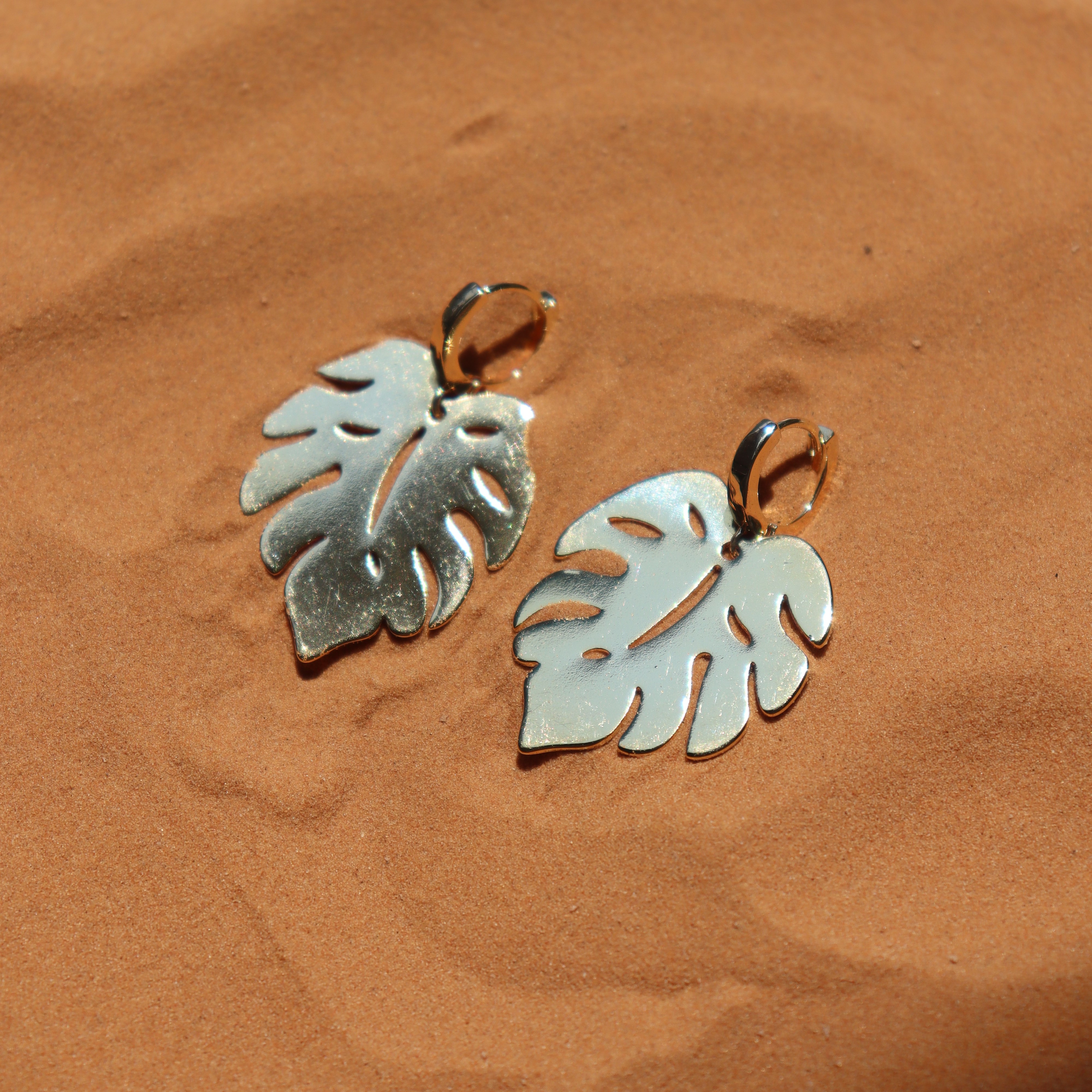 Grandes boucles de Monstera