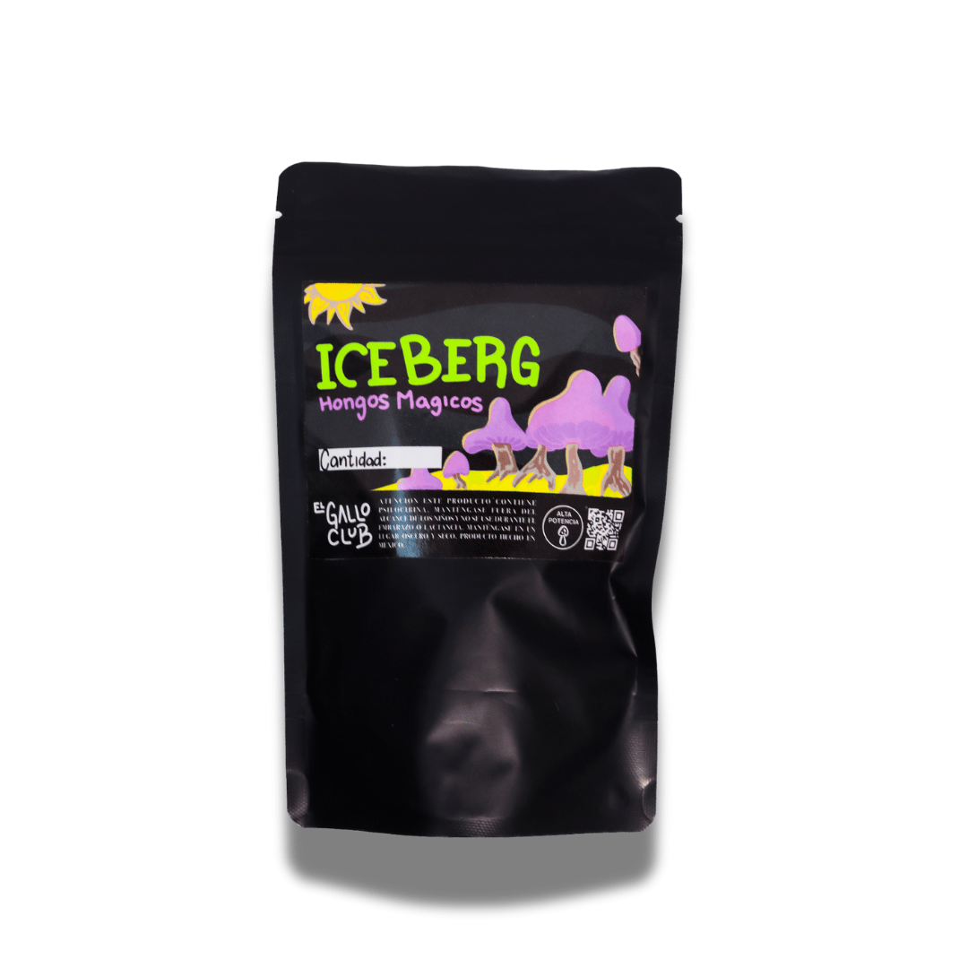ICEBERG HONGOS