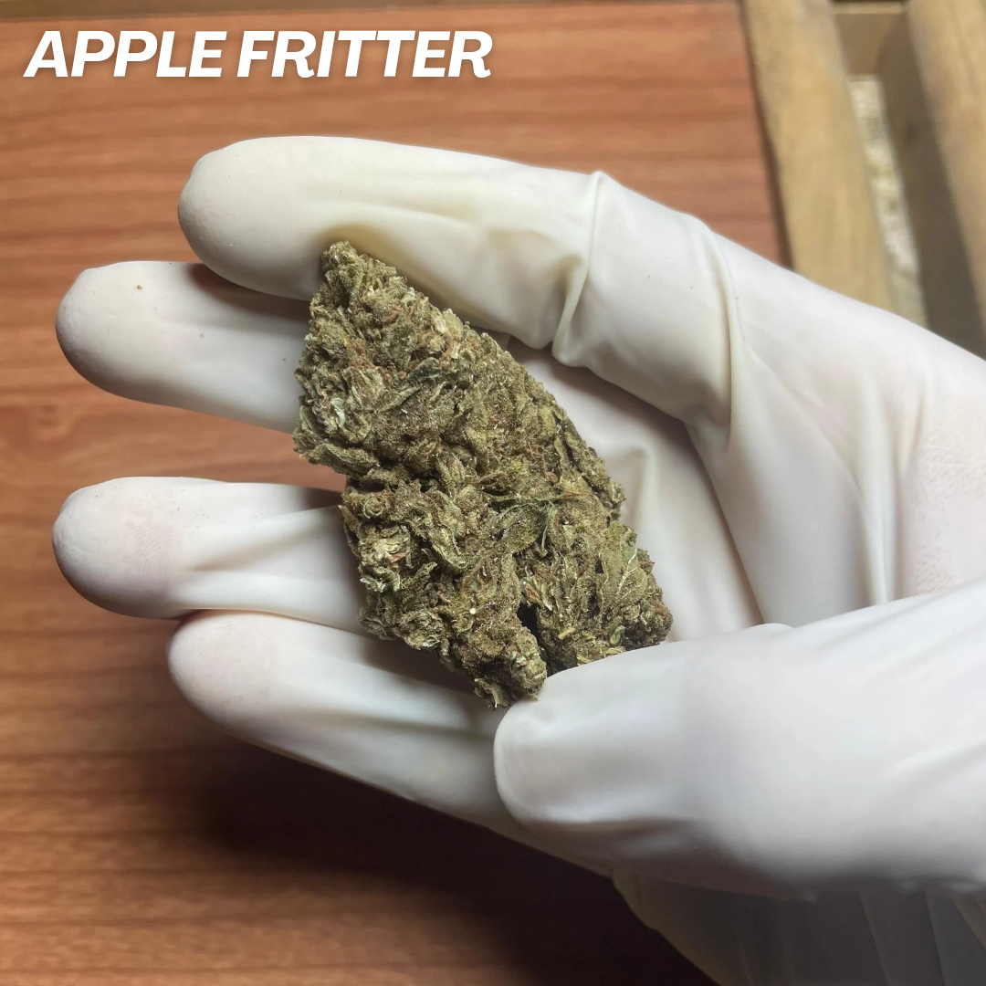 APPLE FRITTER STRAIN