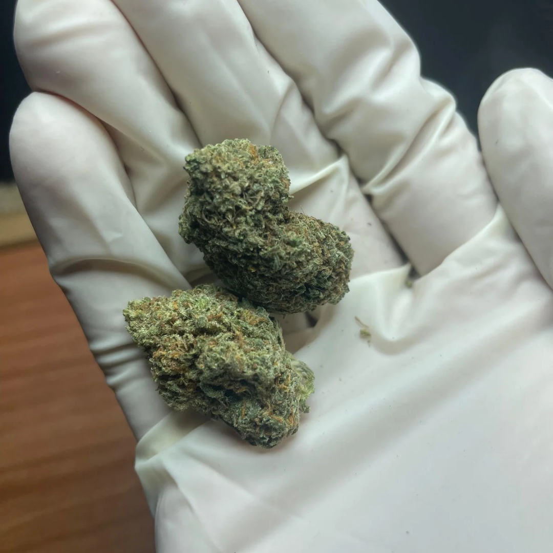 BANANA ICE CREAM STRAIN 