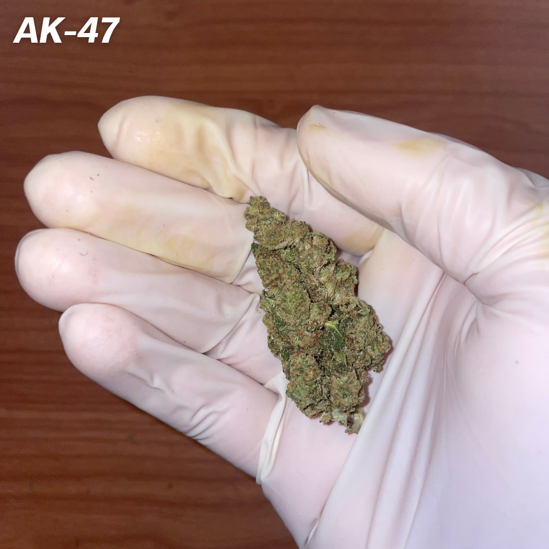 AK-47 STRAIN