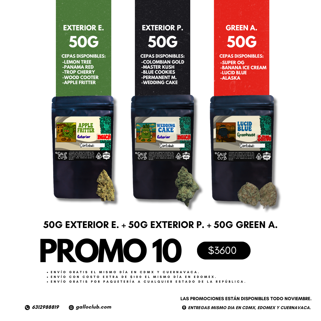 PROMO 10 OCTUBRE