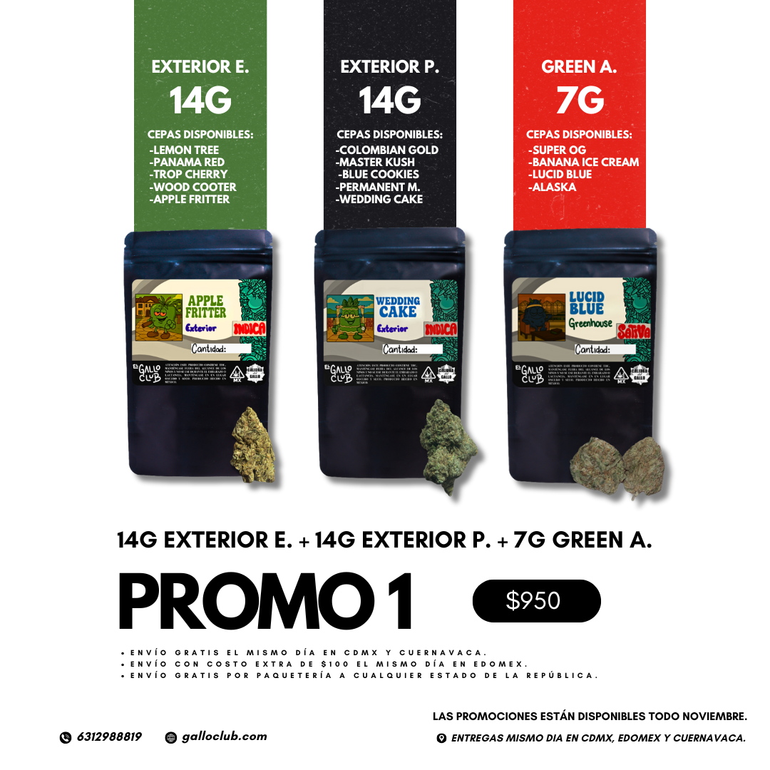 PROMO 1 OCTUBRE