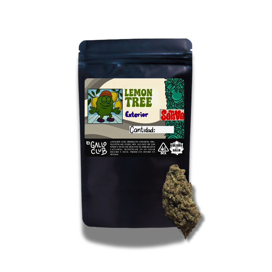 LEMON TREE STRAIN