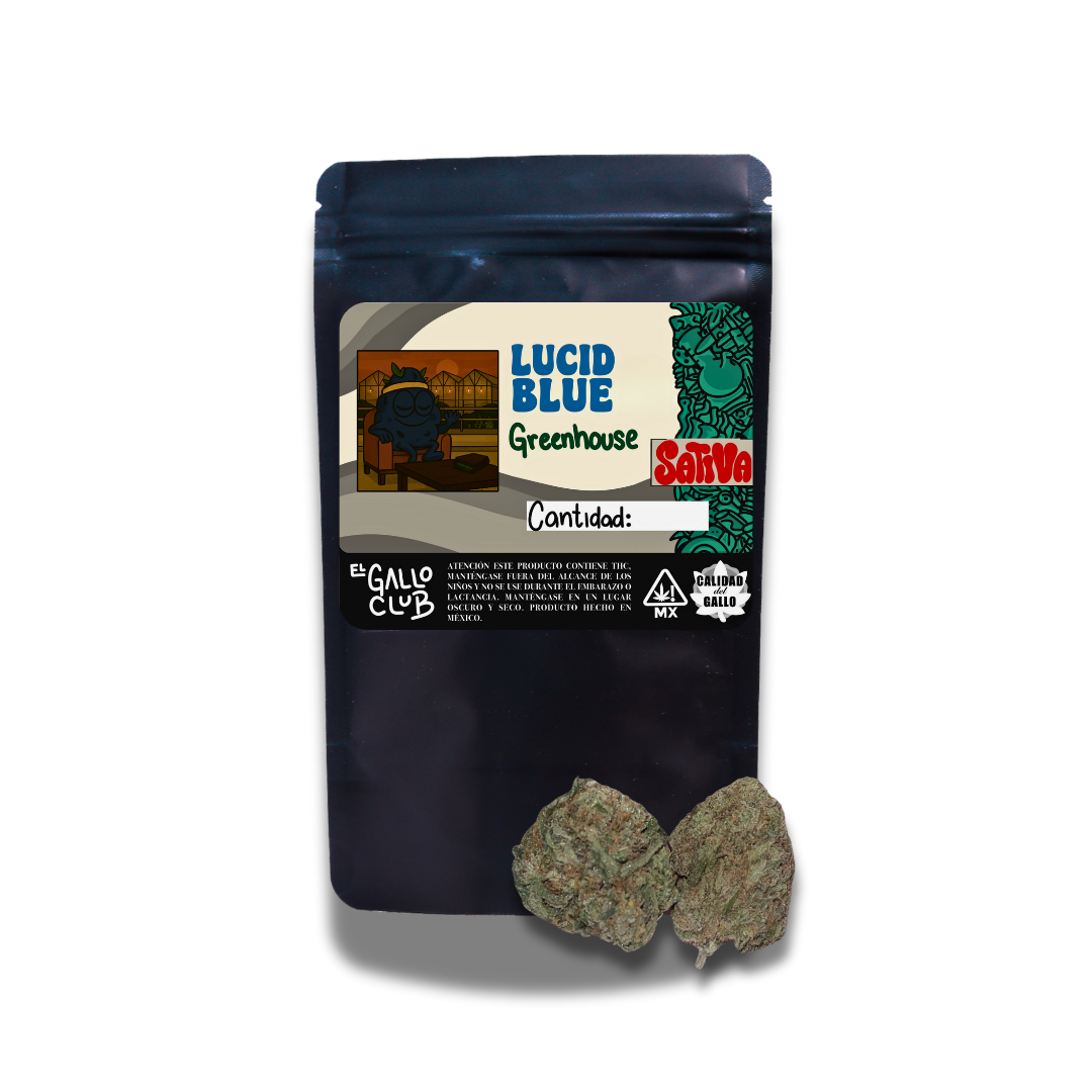 LUCID BLUE STRAIN