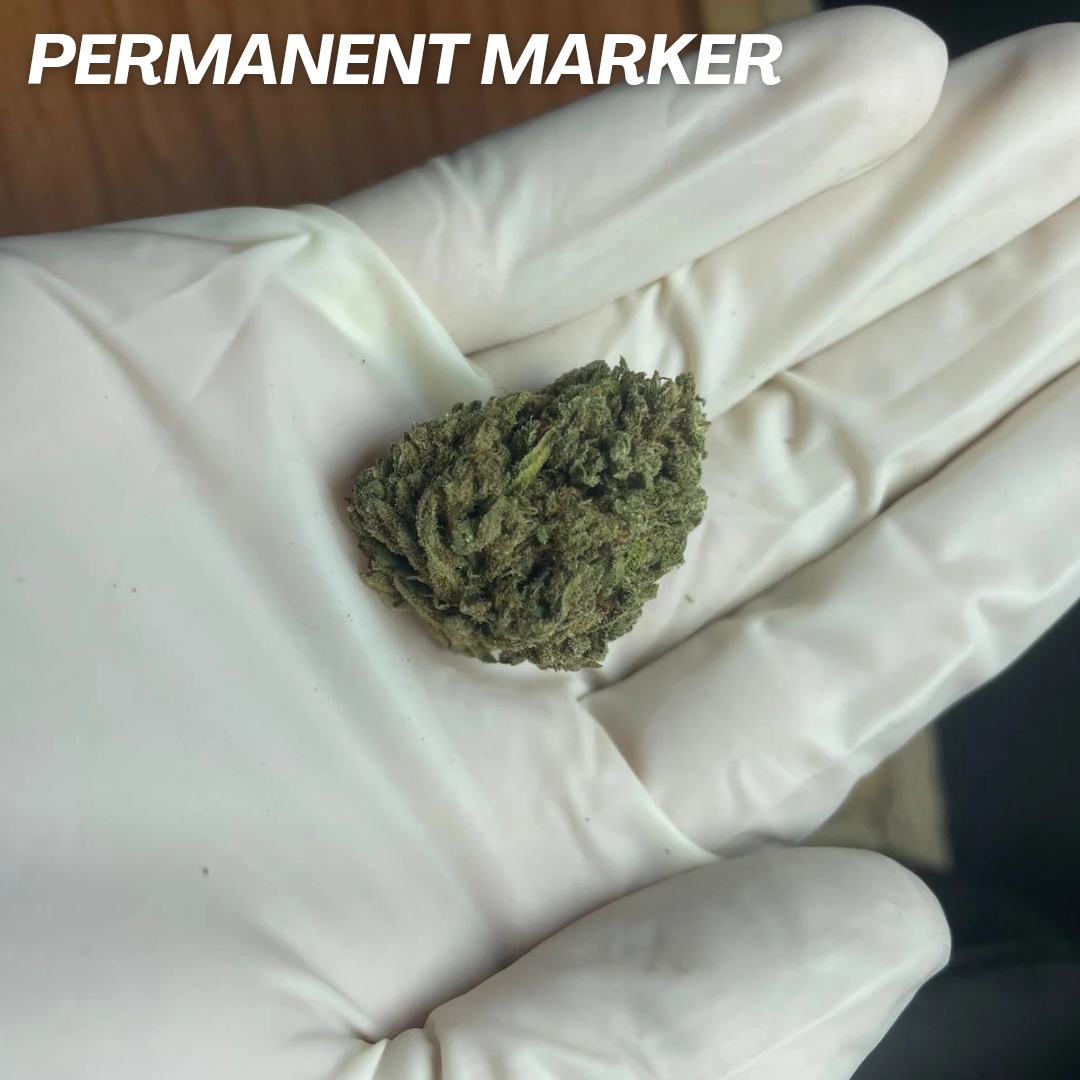 PERMANENT MARKER STRAIN