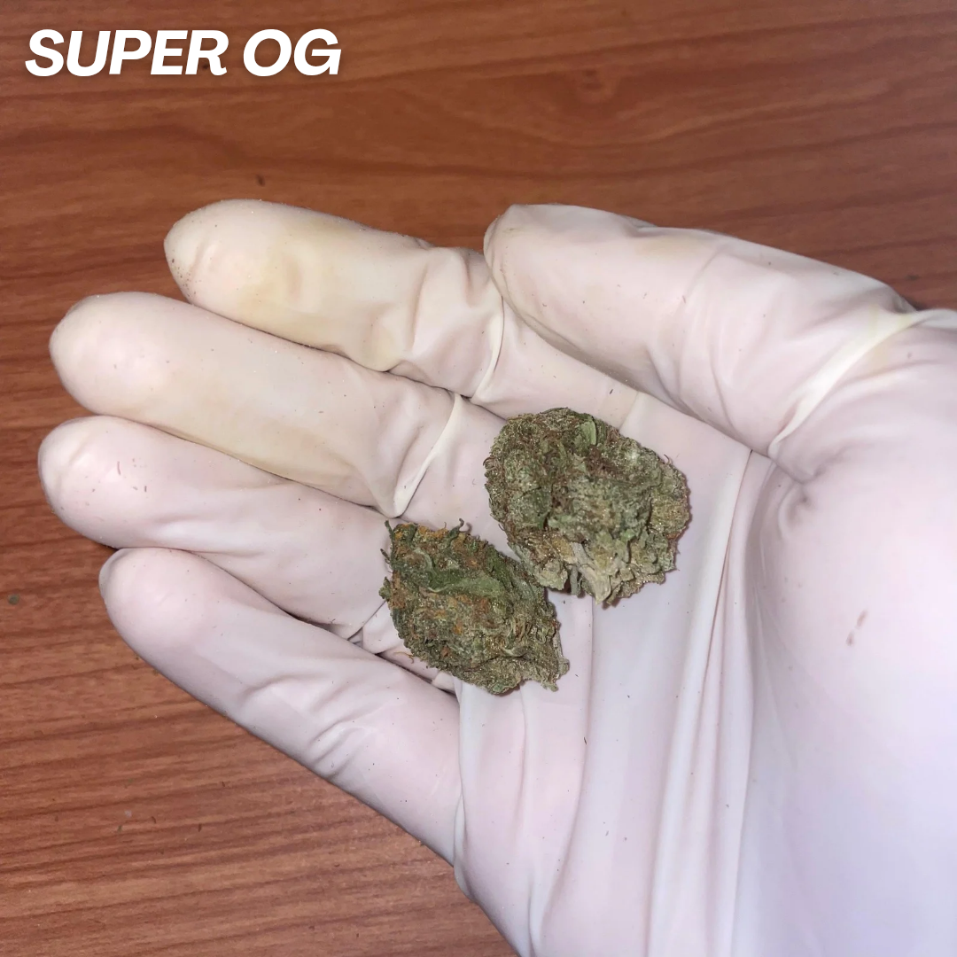 SUPER OG STRAIN 