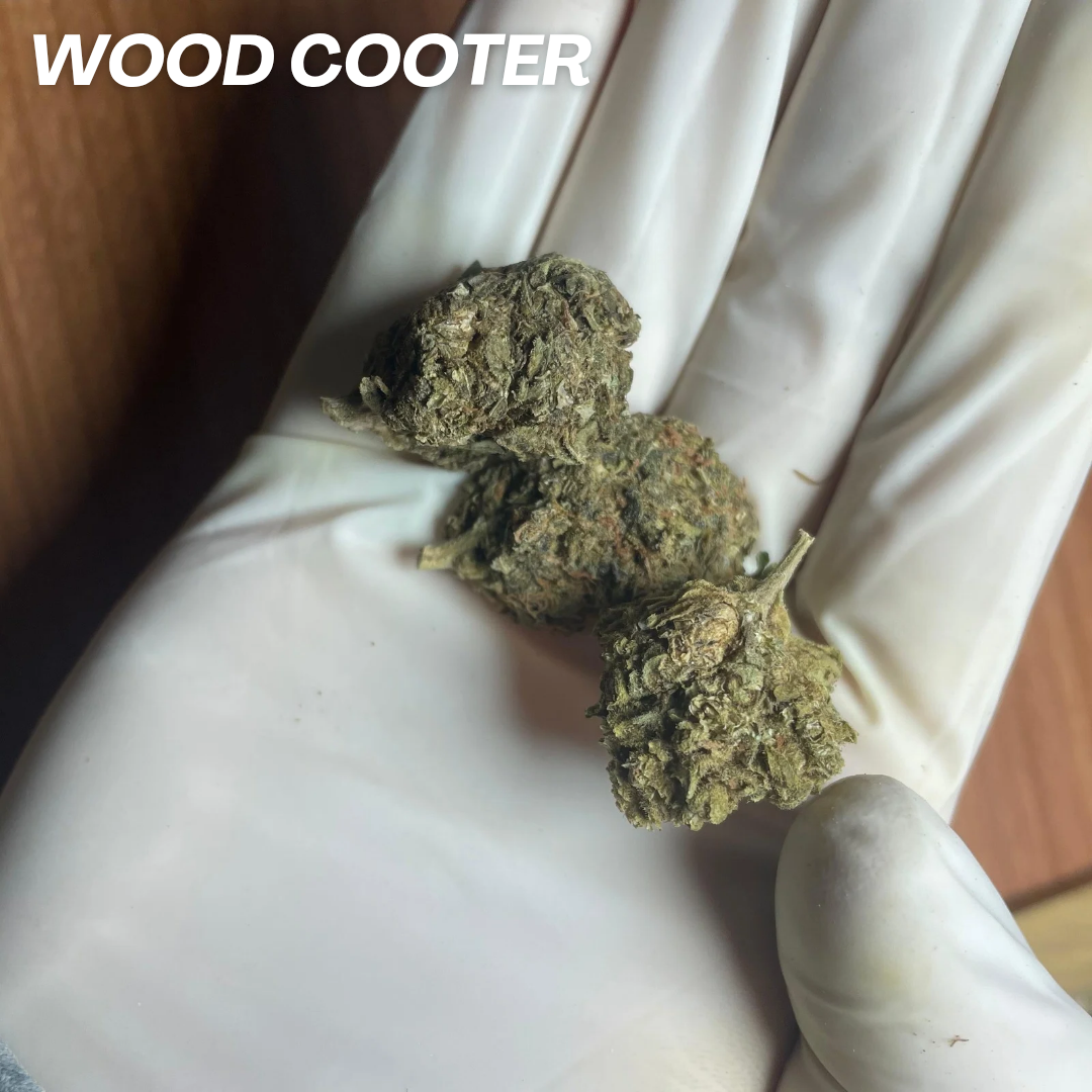 WOOD COOTER STRAIN