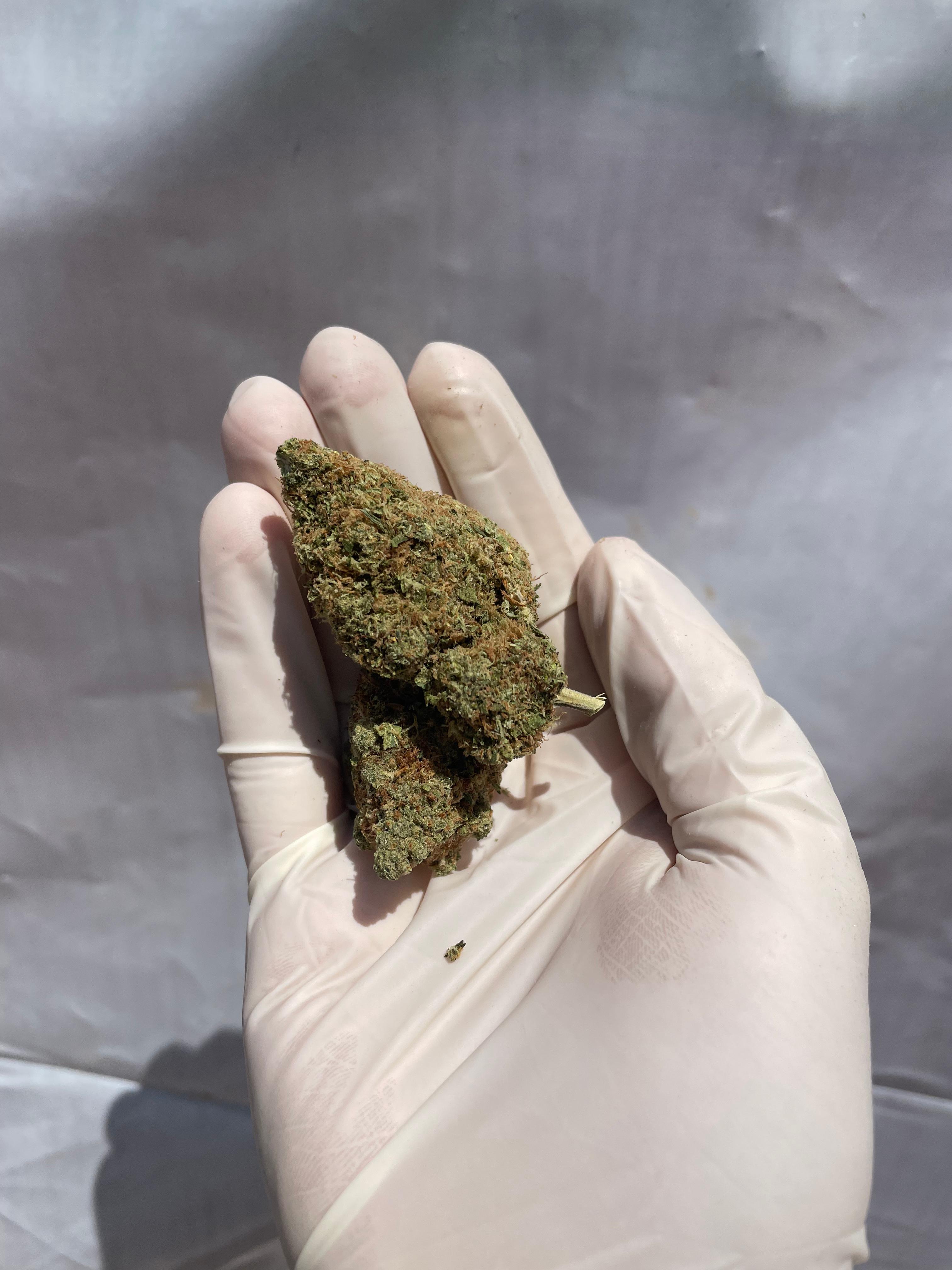 COLOMBIAN GOLD STRAIN