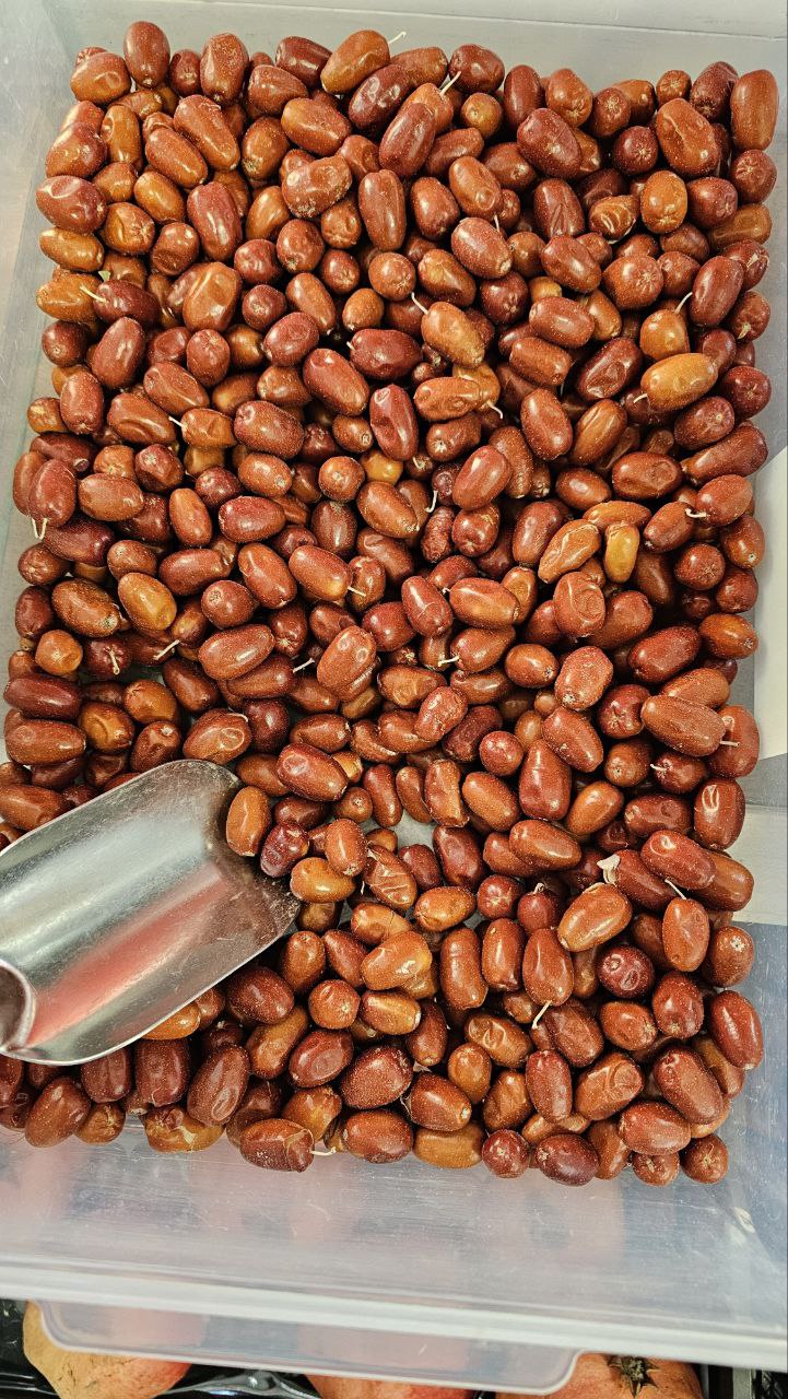 Natural Dried Senjed (Silverberry)