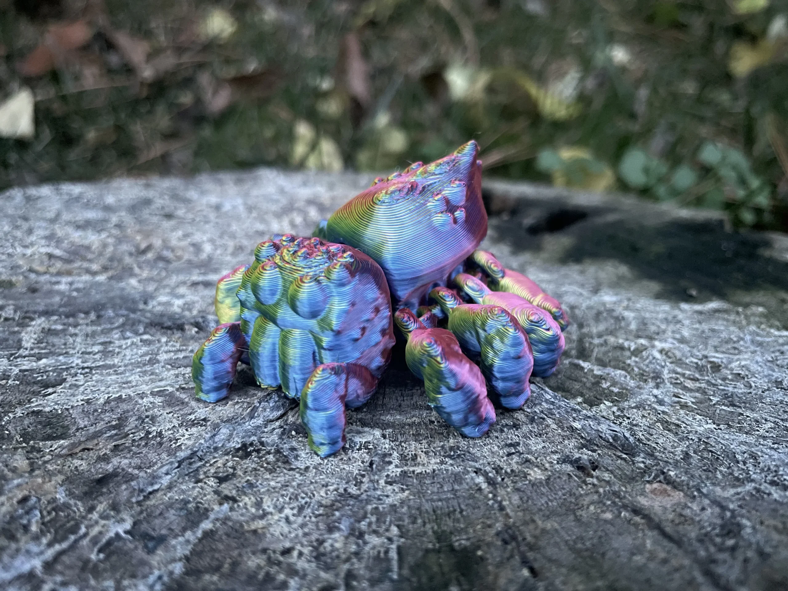 Rainbow Spider