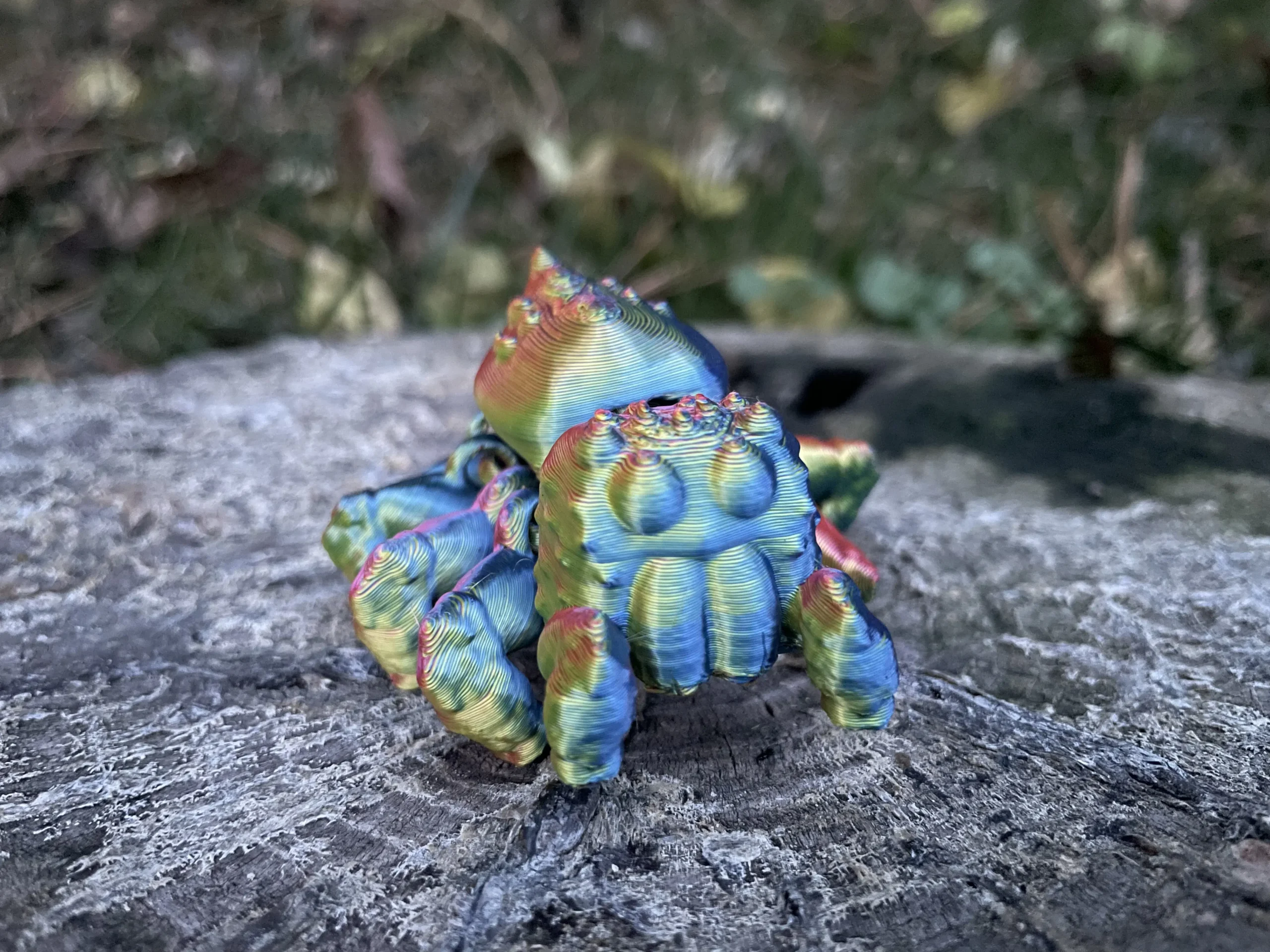 Rainbow Spider