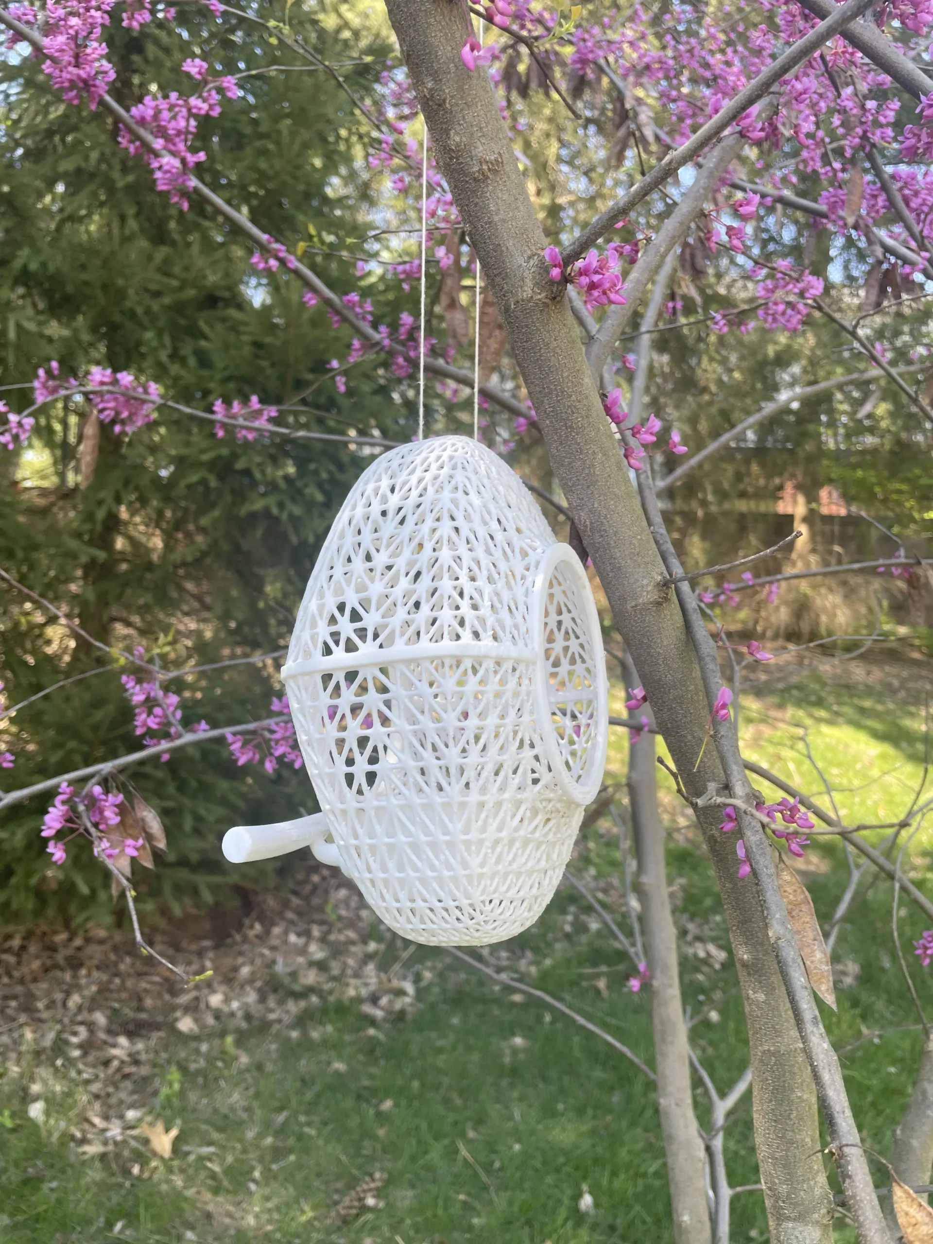 Bird Feeder