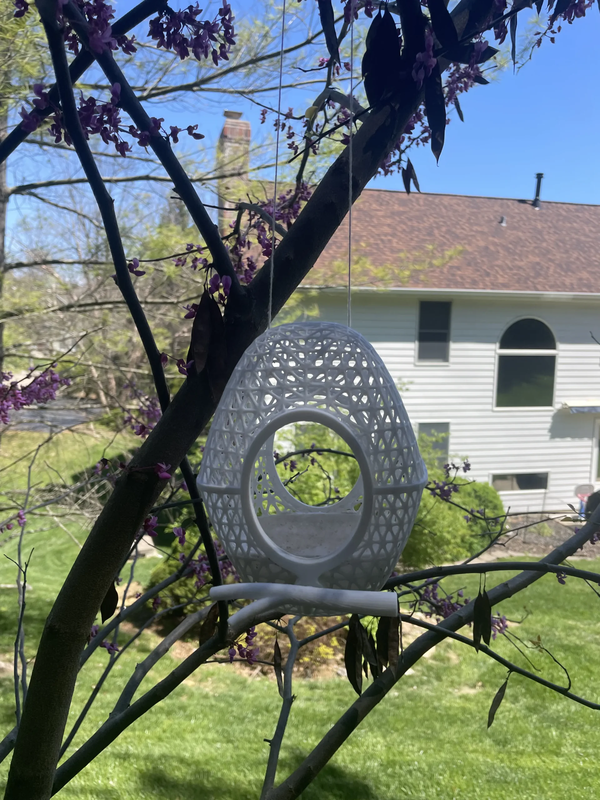 Bird Feeder