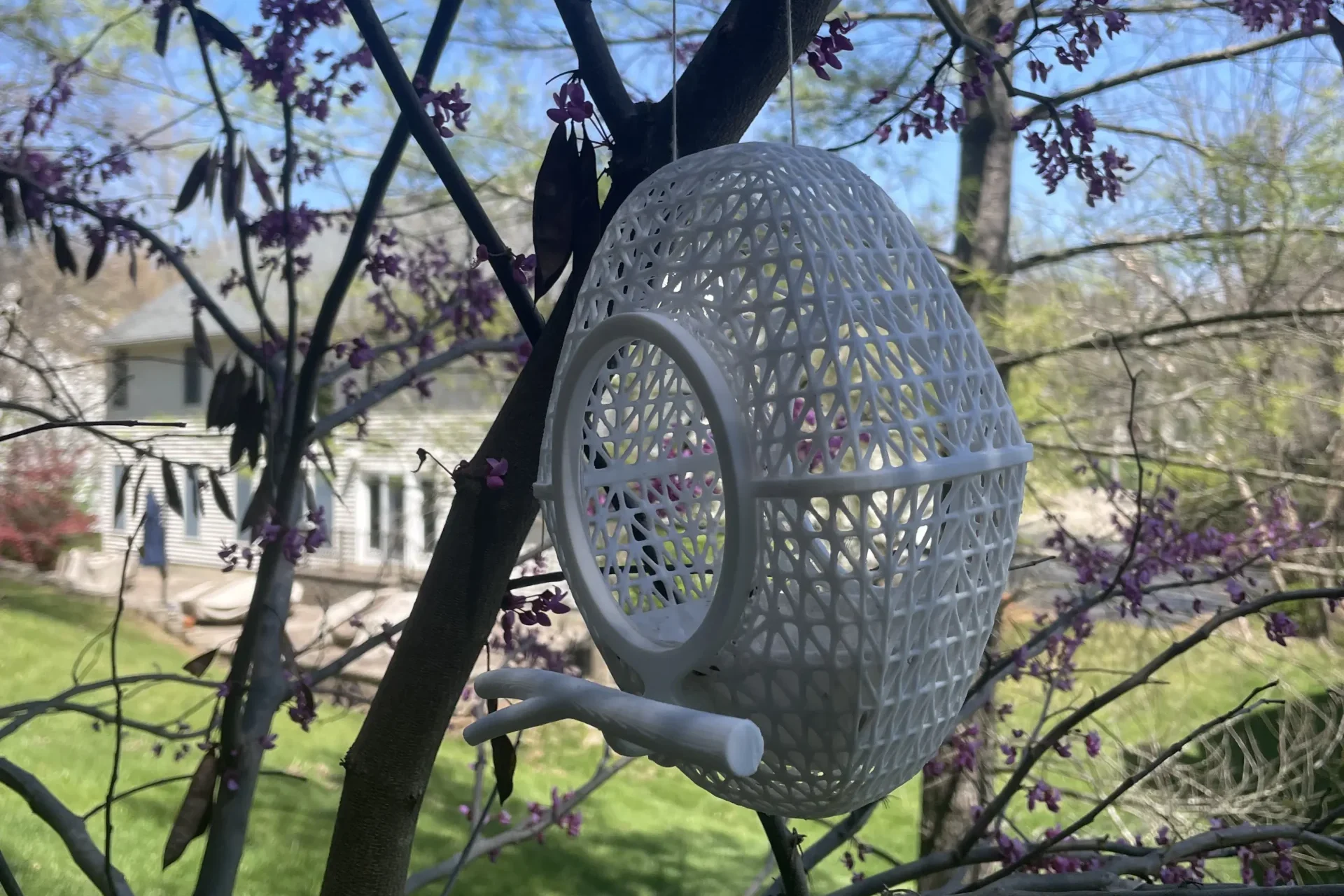 Bird Feeder