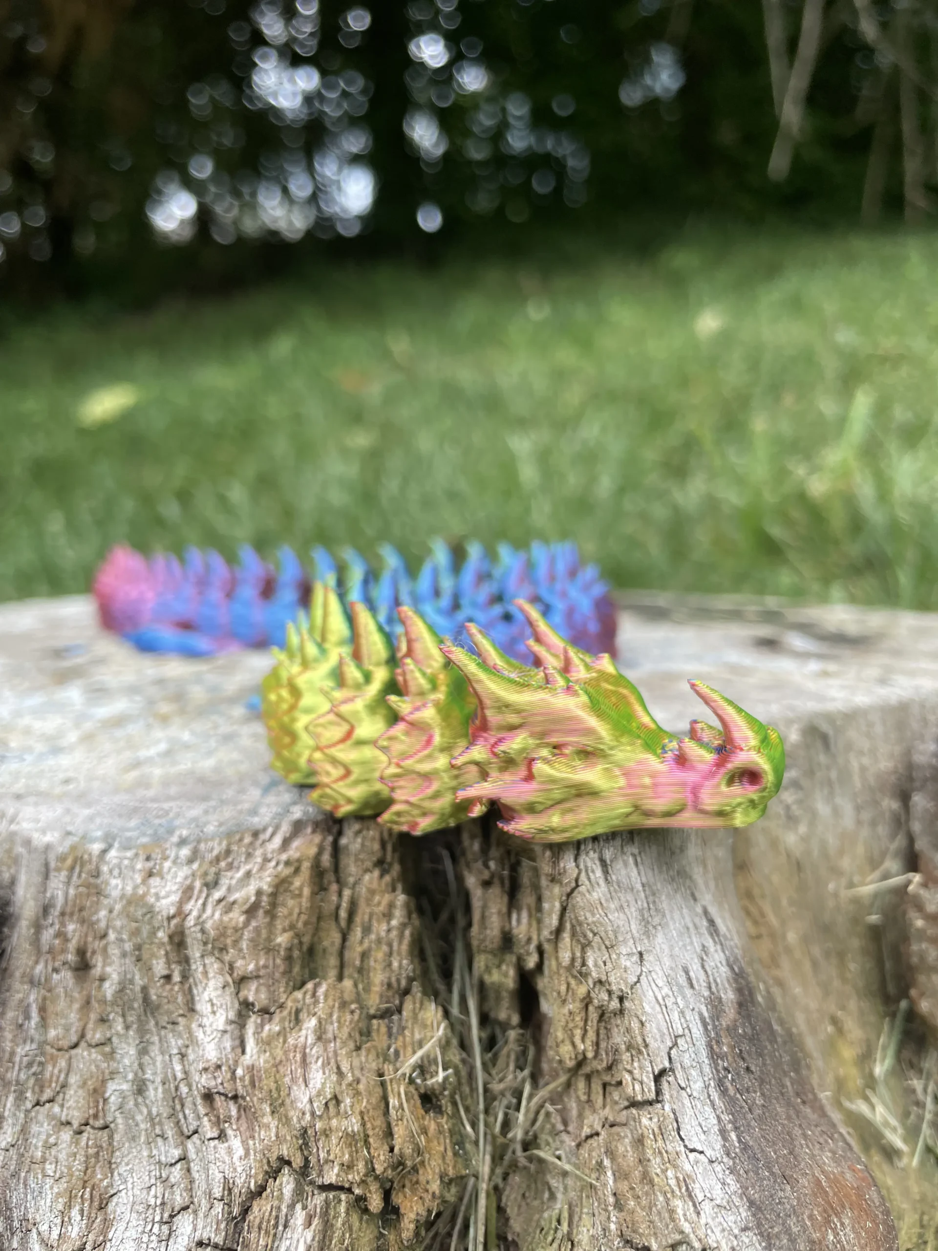 Rainbow Articulated Dragon