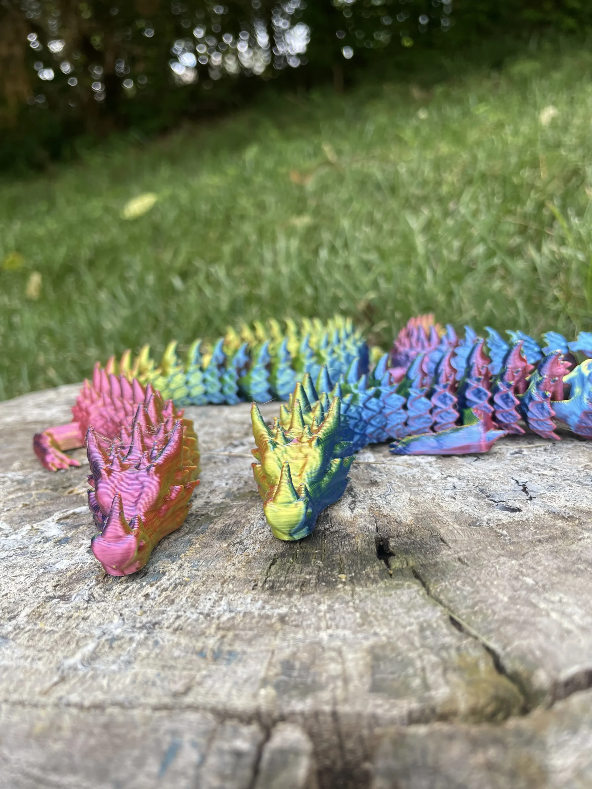 Rainbow Articulated Dragon