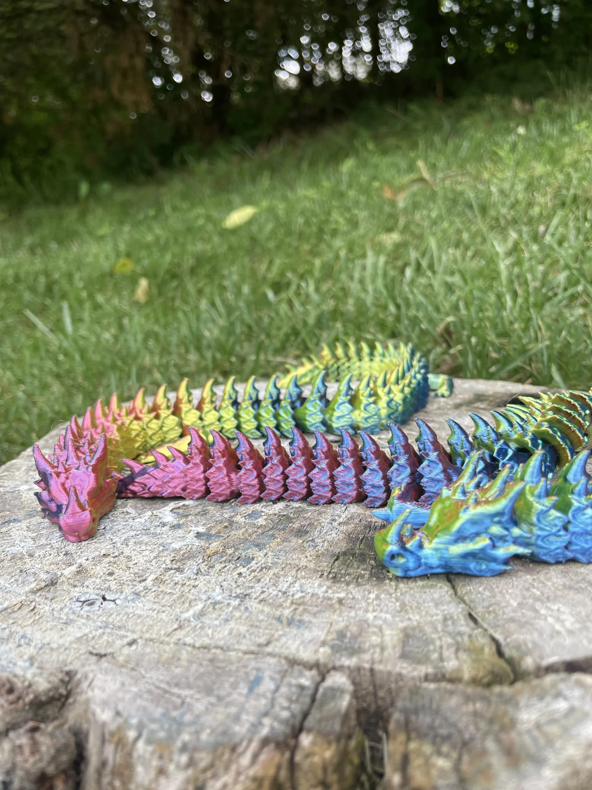 Rainbow Articulated Dragon