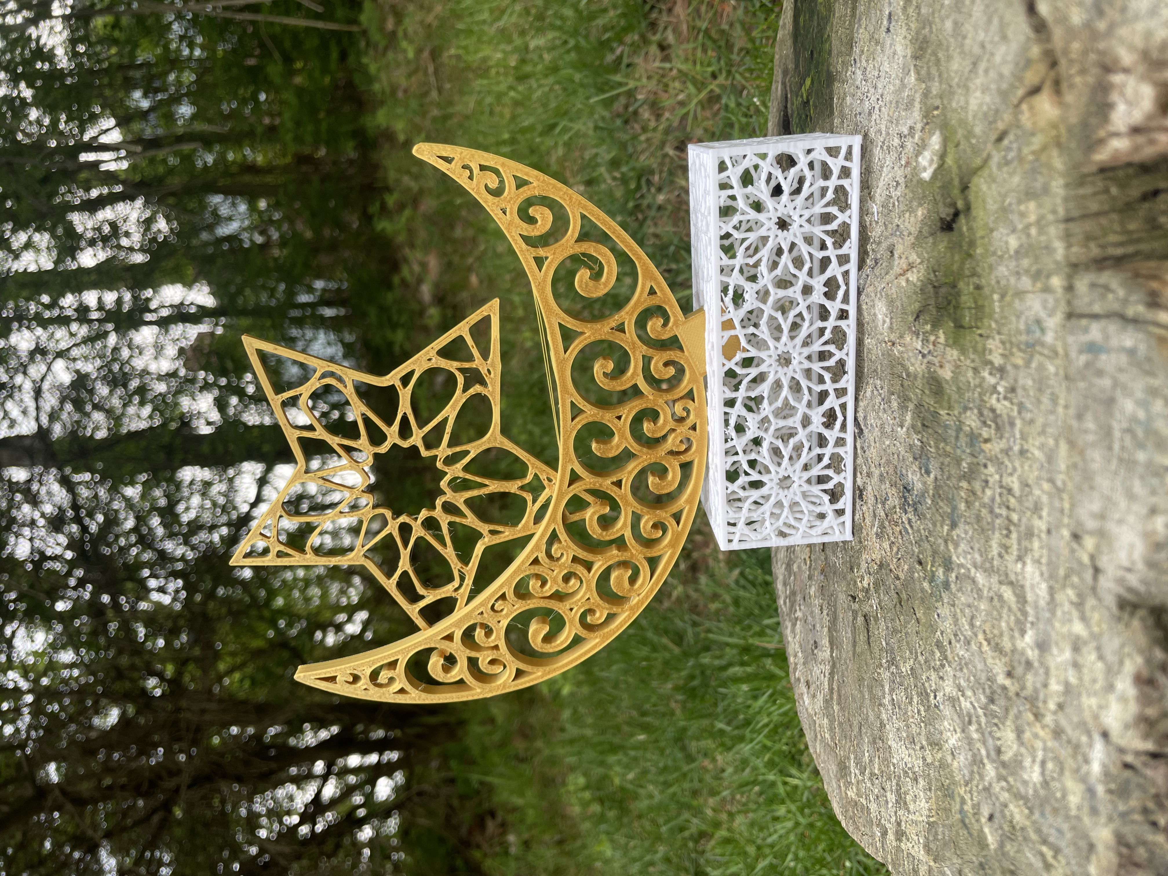 Crescent Light