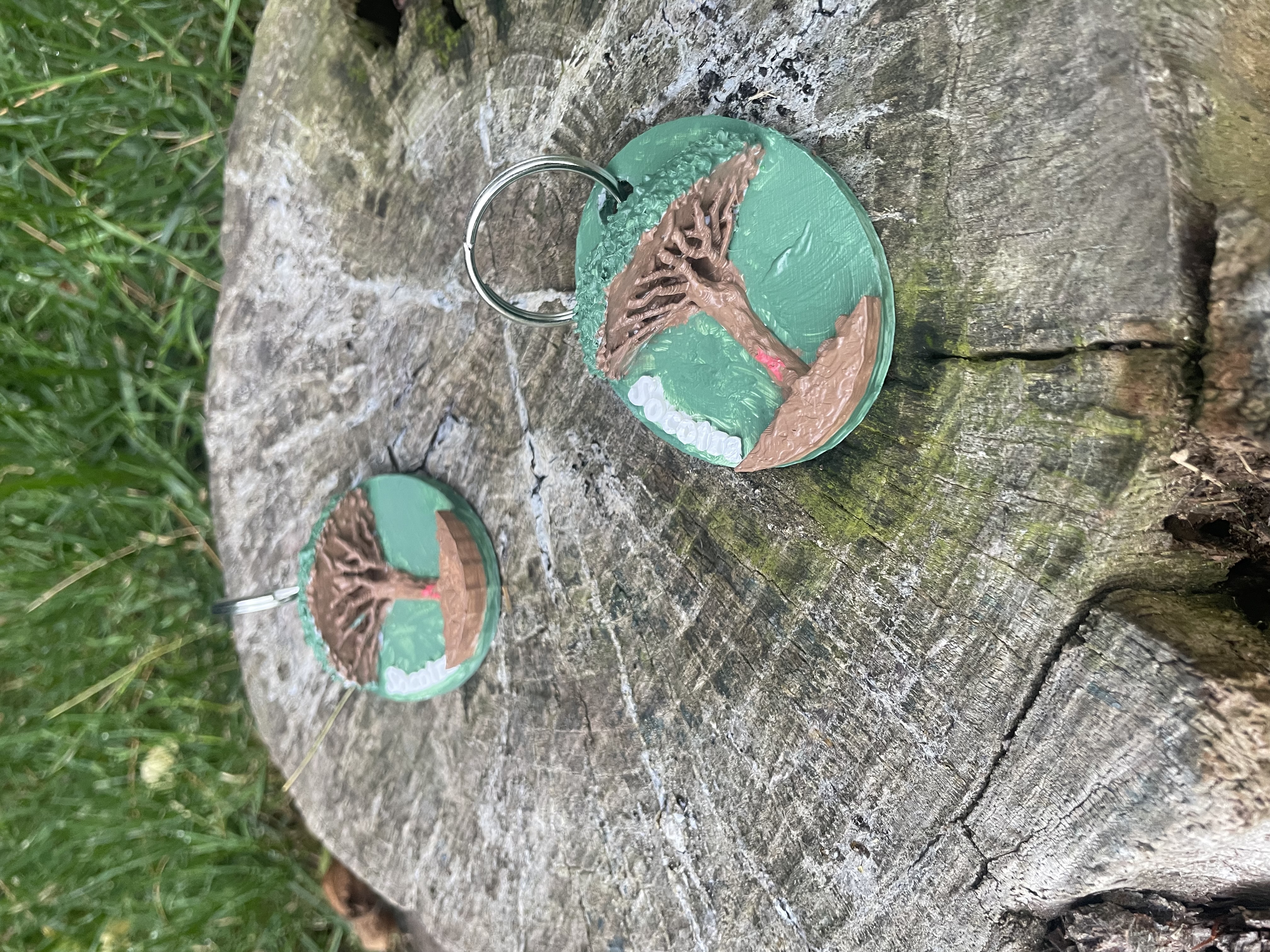 Socotra Keychain