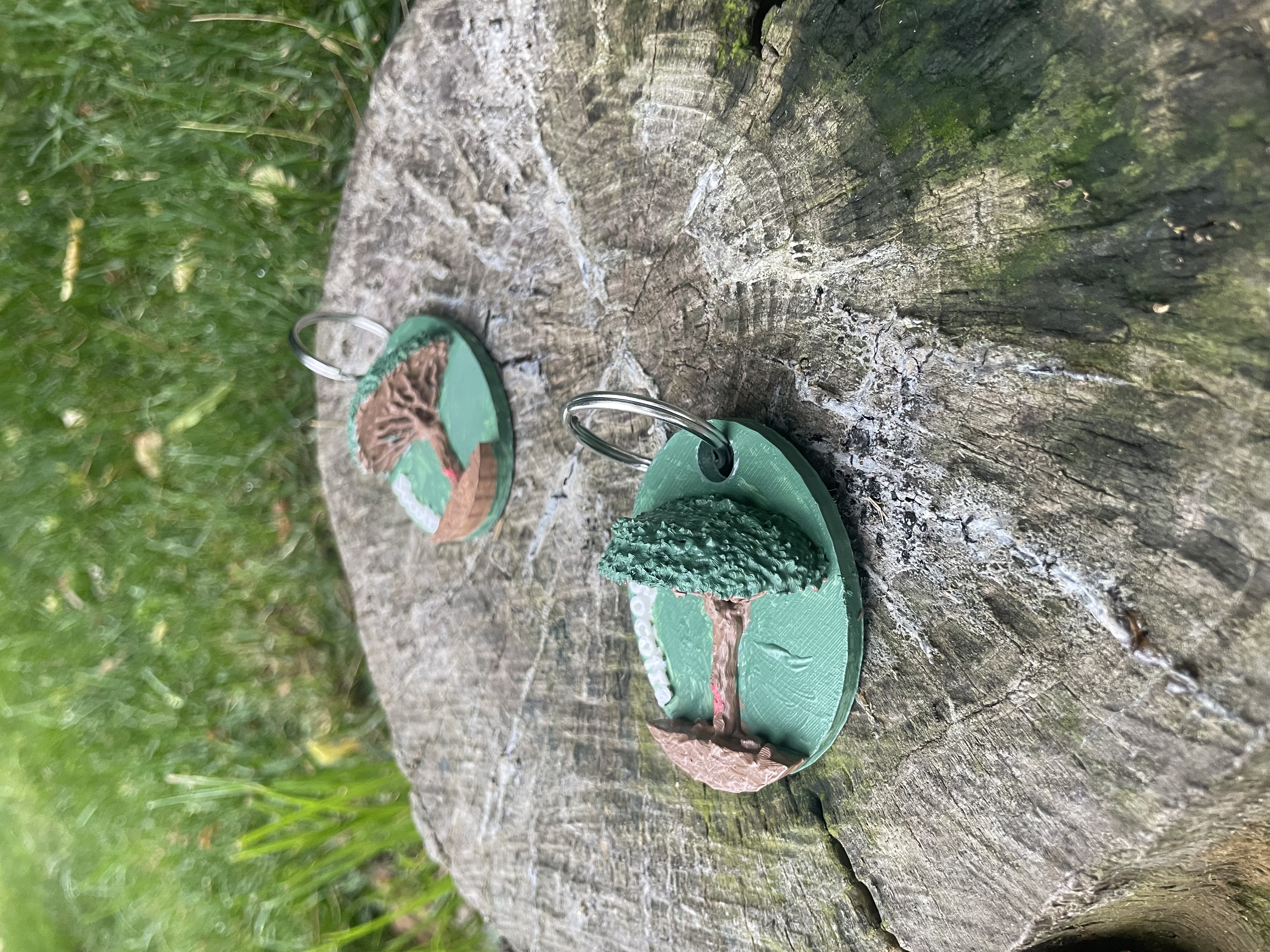 Socotra Keychain