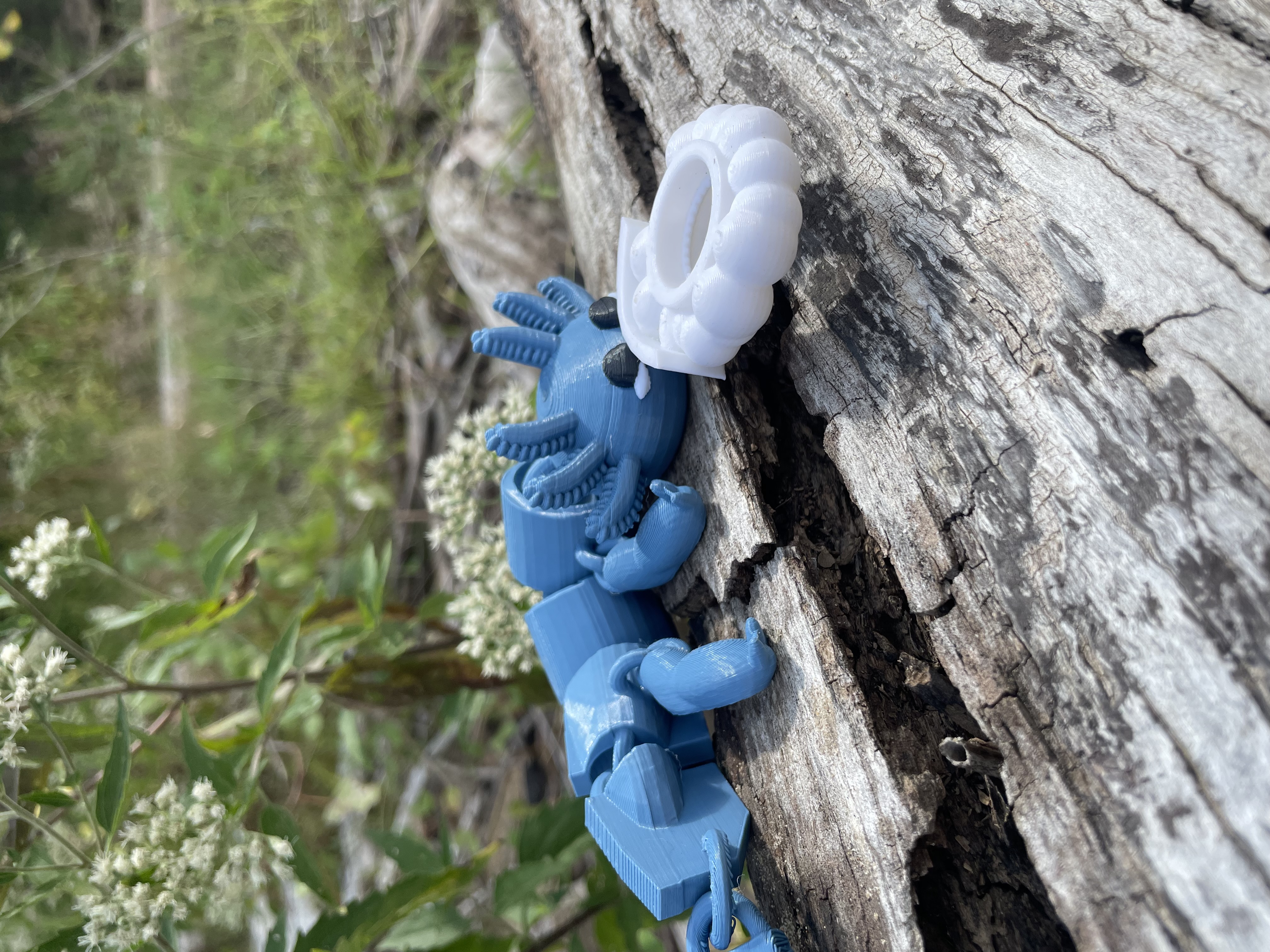 Articulated Axolotl Bubble Blower