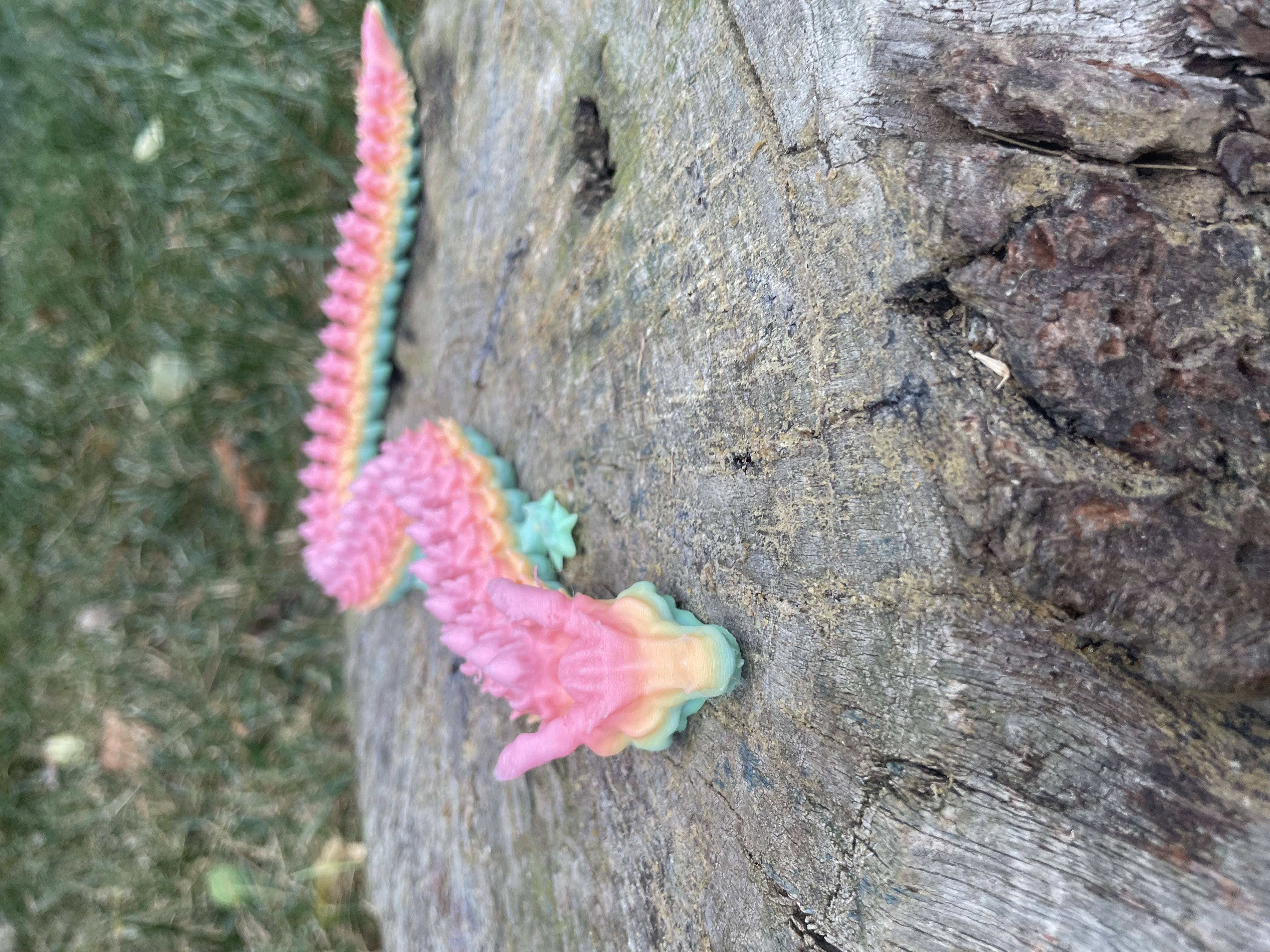 Glow in the Dark Dragon