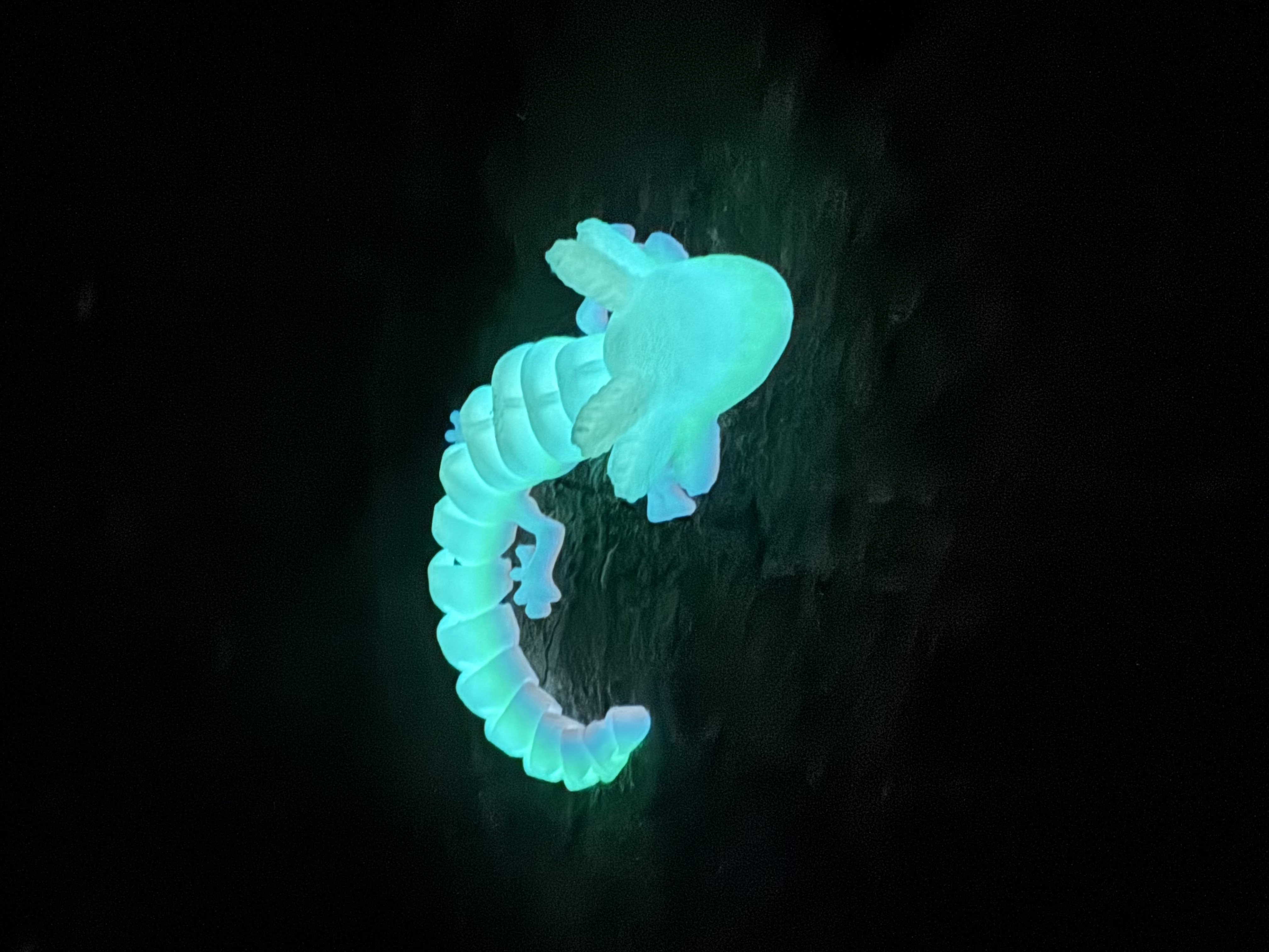 Rainbow Axolotl (Glow in the Dark!)