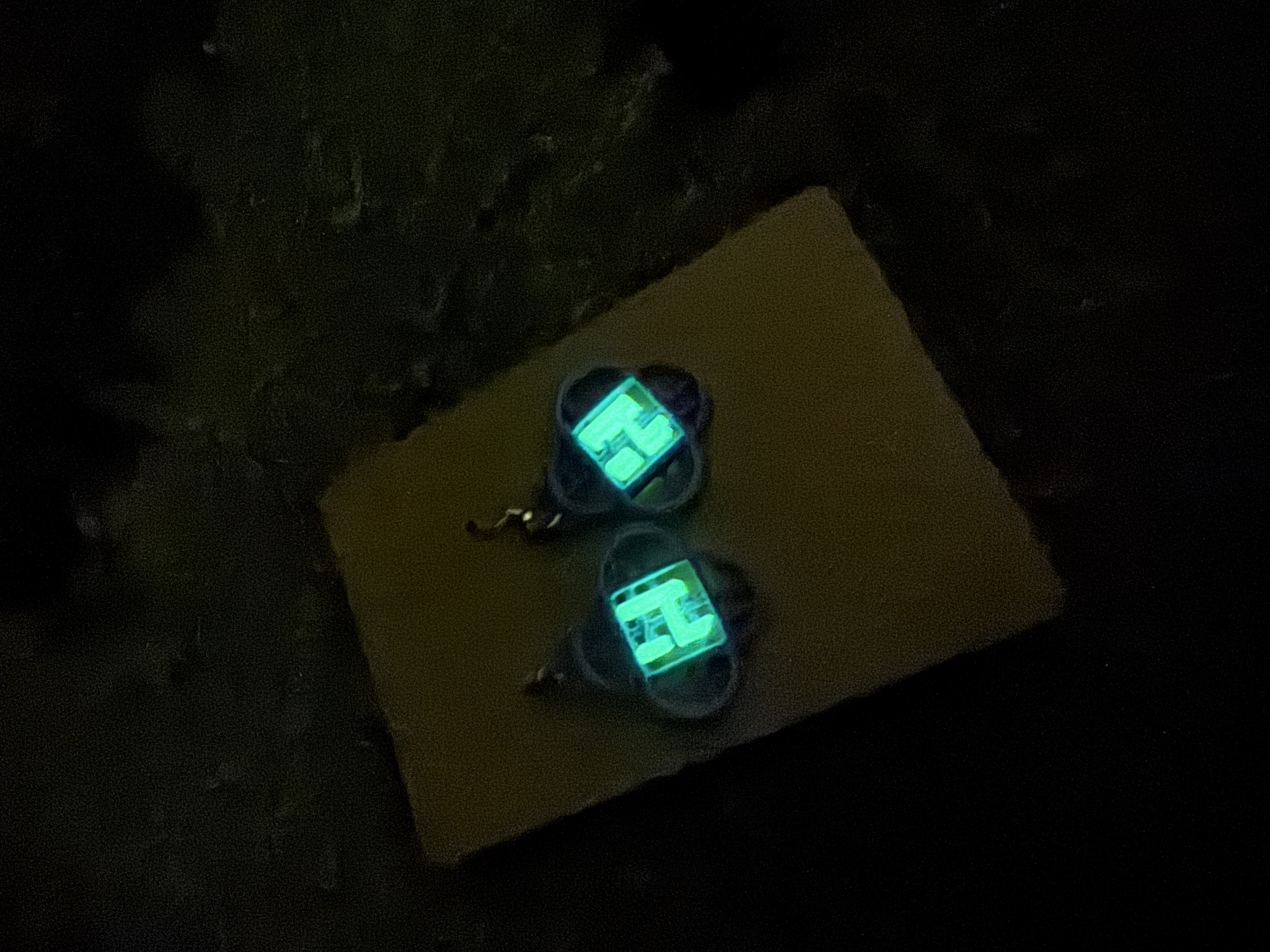 Huntrix Earrings and Necklace (Glow in the Dark)