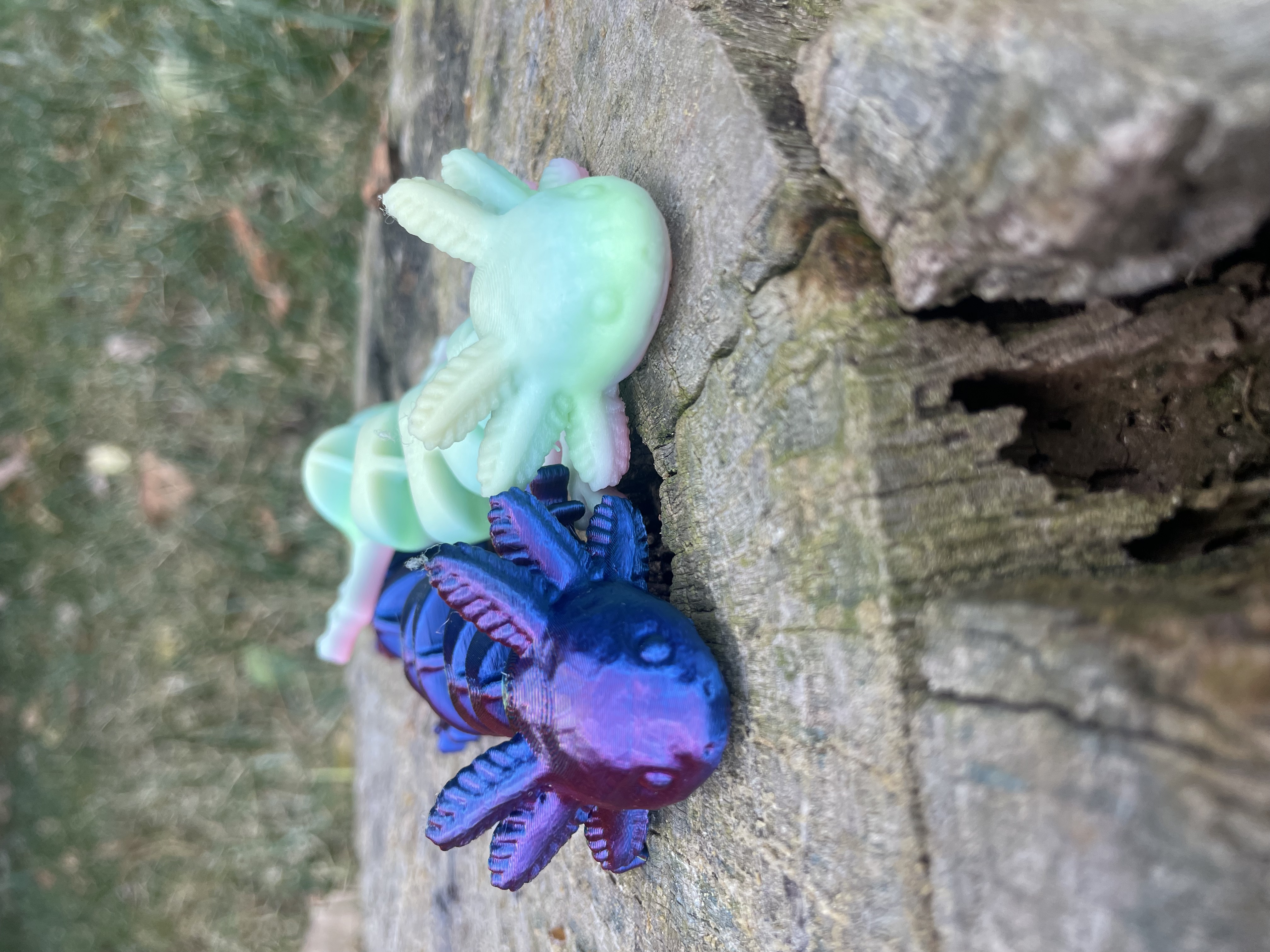 Rainbow Axolotl (Glow in the Dark!)