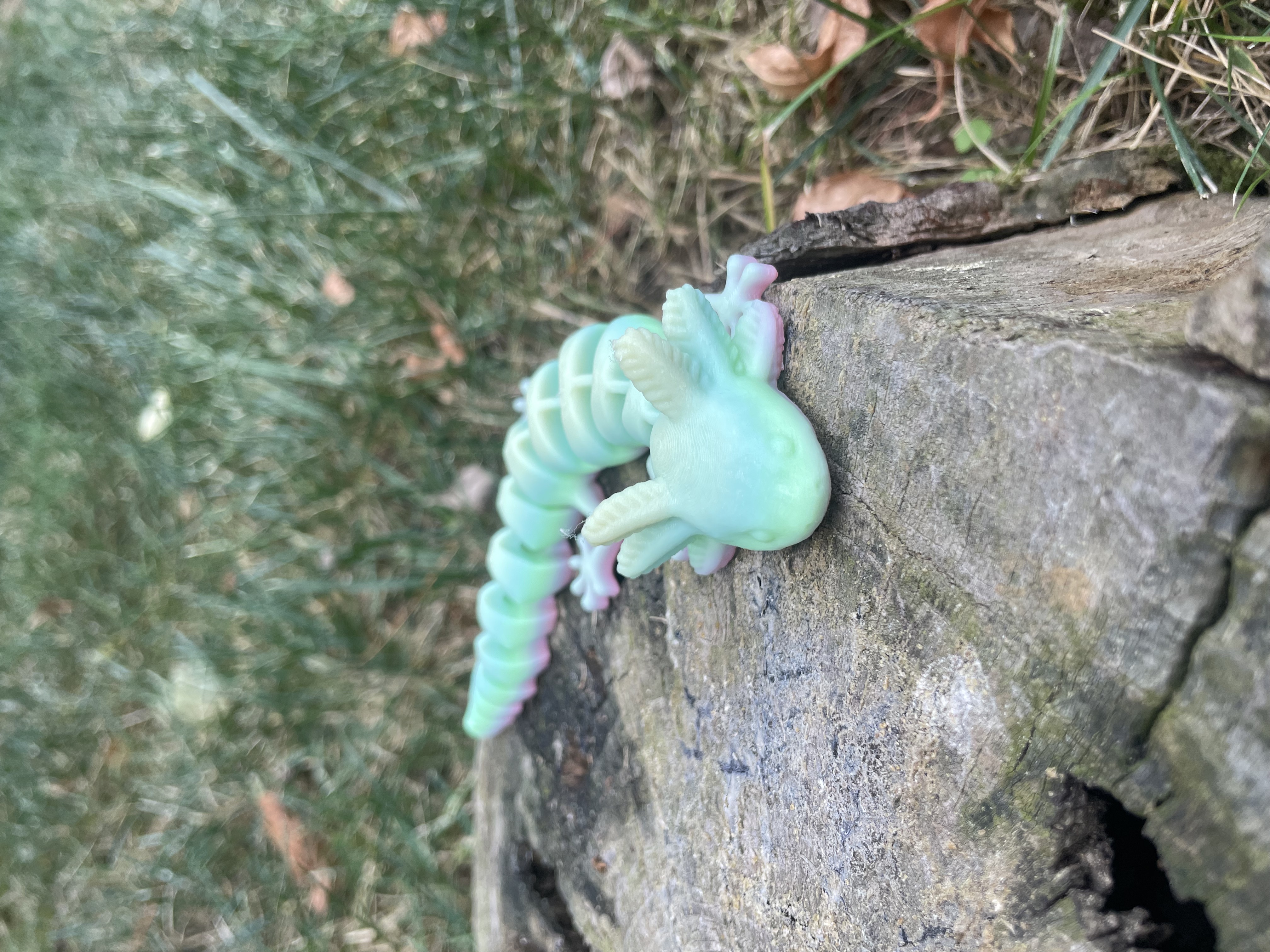 Rainbow Axolotl (Glow in the Dark!)