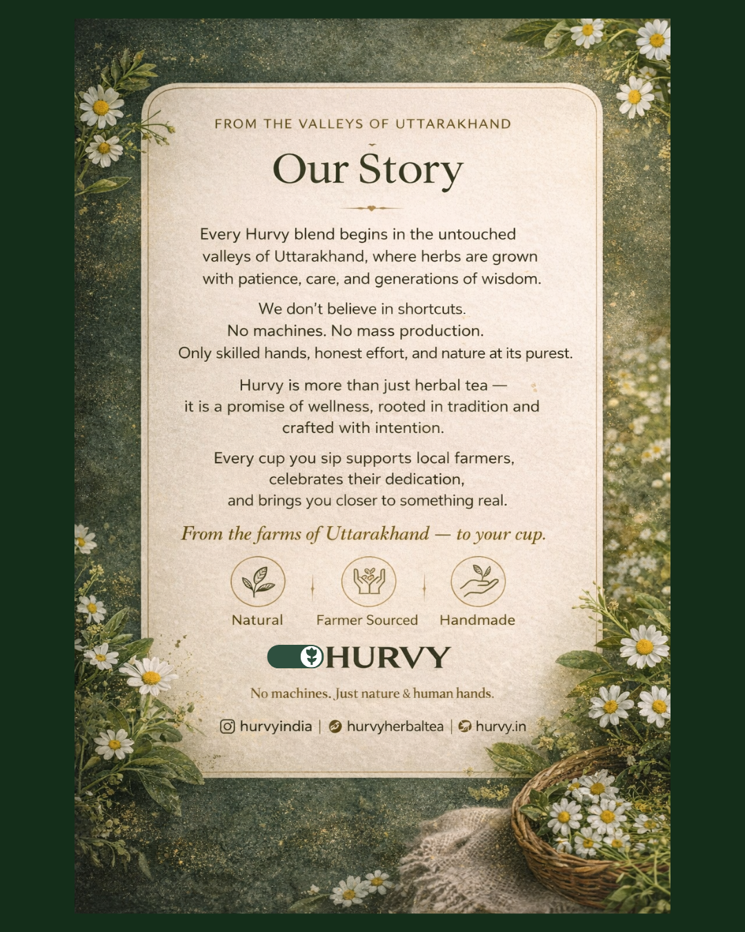 Hurvy Detox Tea