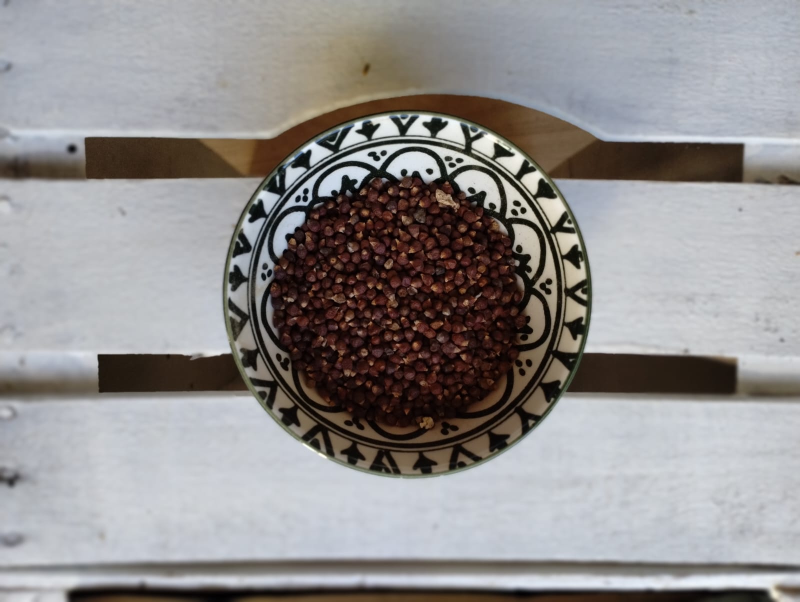 Pepe Malagueta Africa Occ.