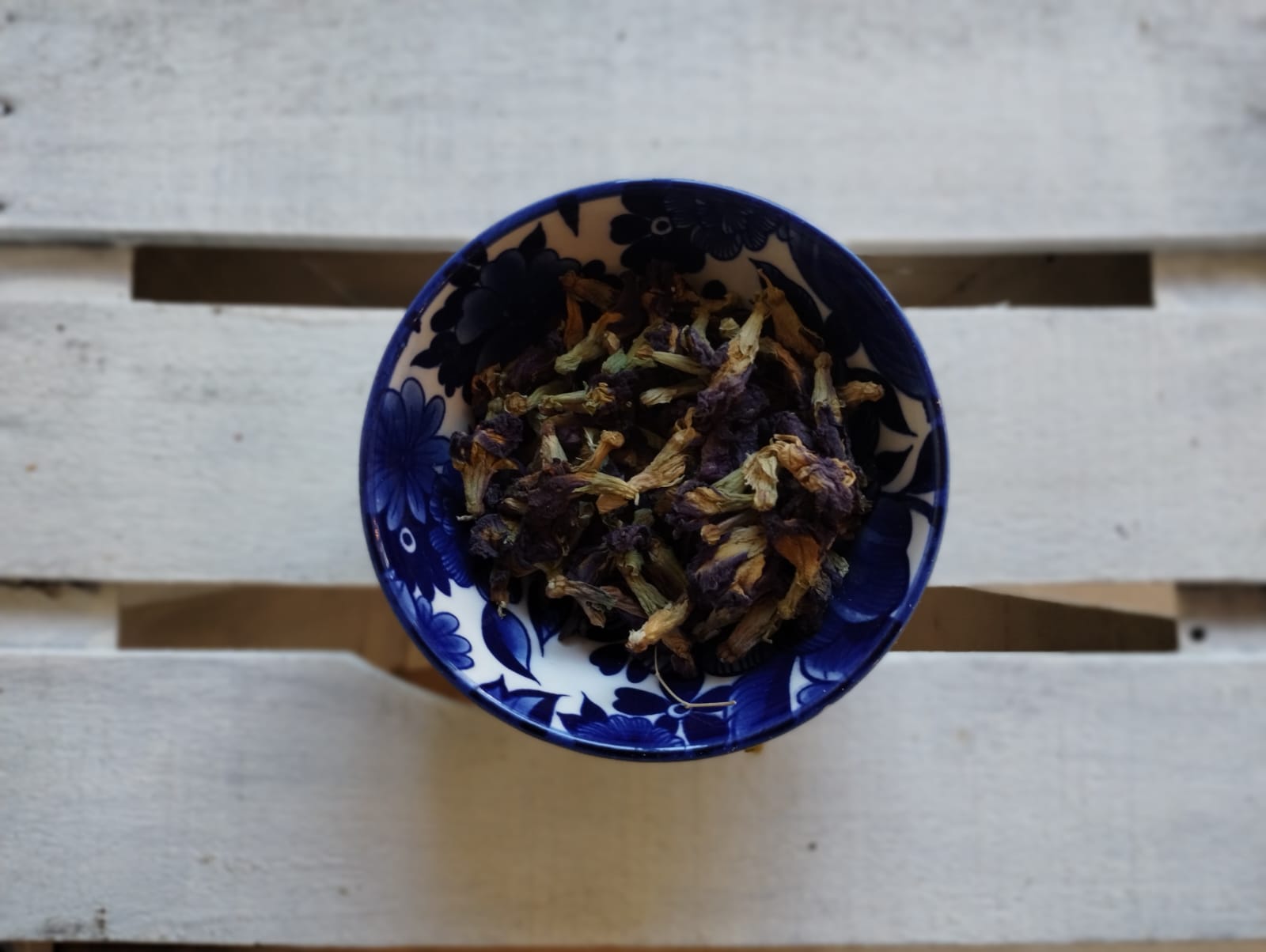 Butterfly Pea Blue flowers