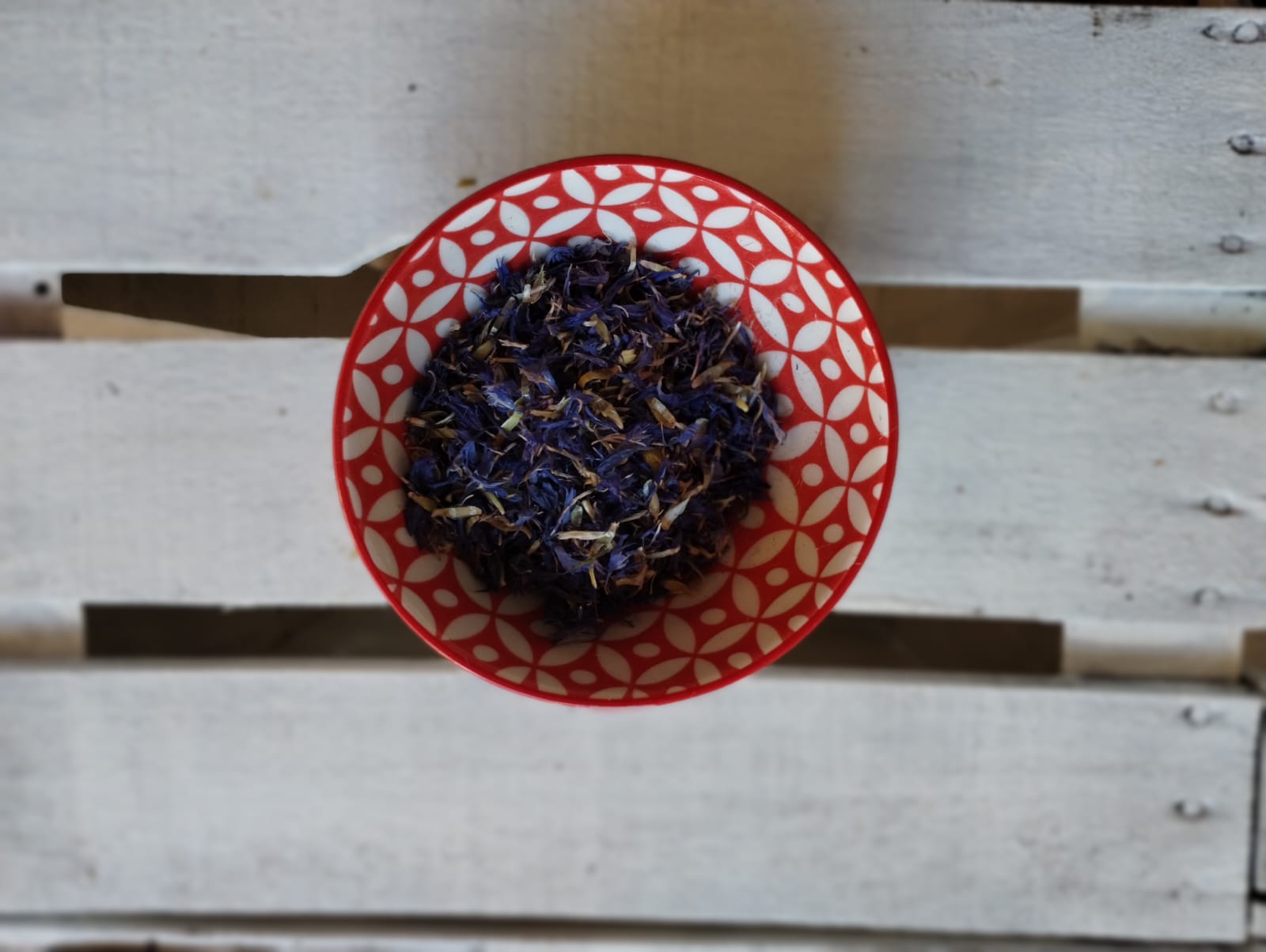 Fiordaliso petali blu