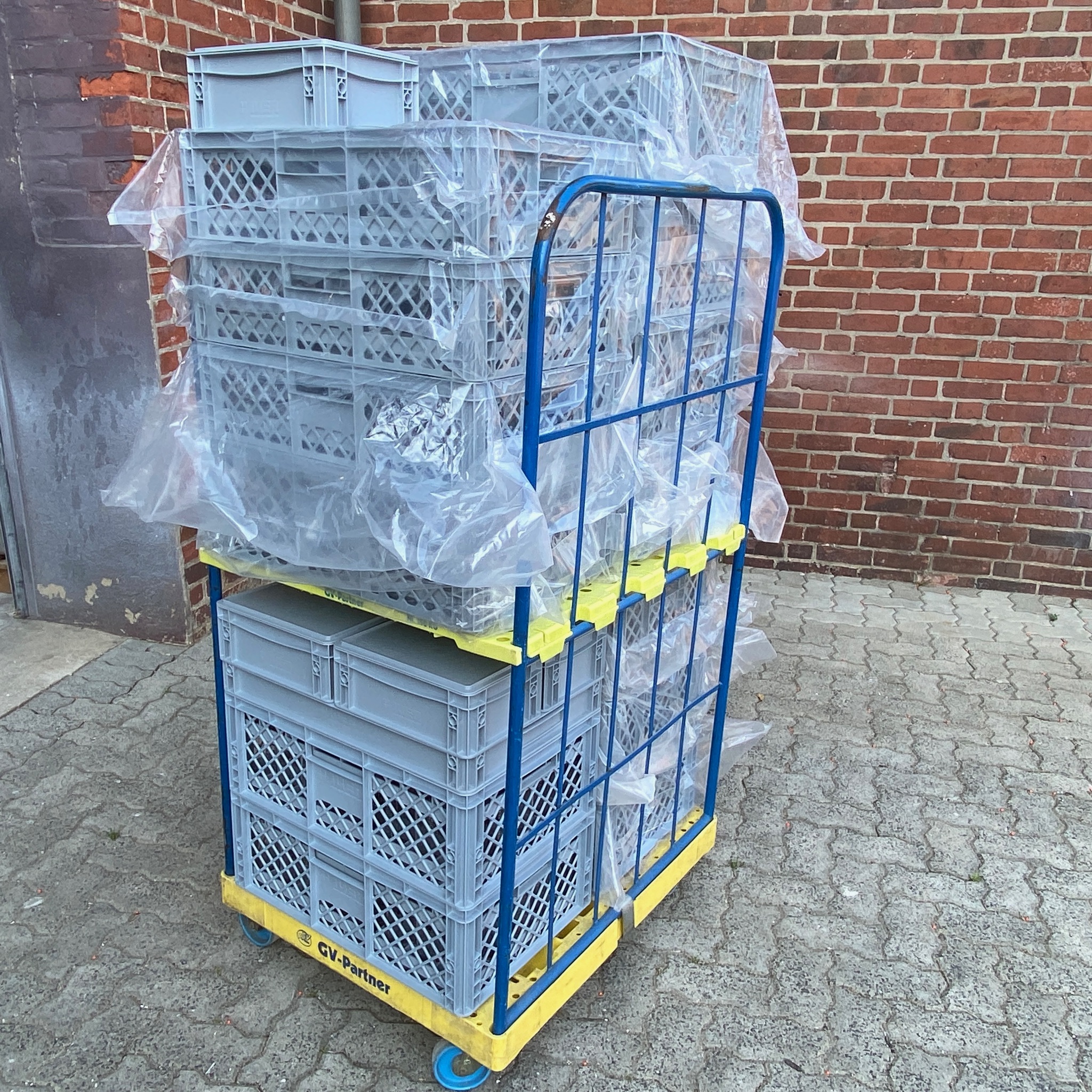 Party Gläser Set für ca. 60 Gäste /  Bier - Soft - Sekt - Wein - Schnaps - Longdrink - Glas im Paket