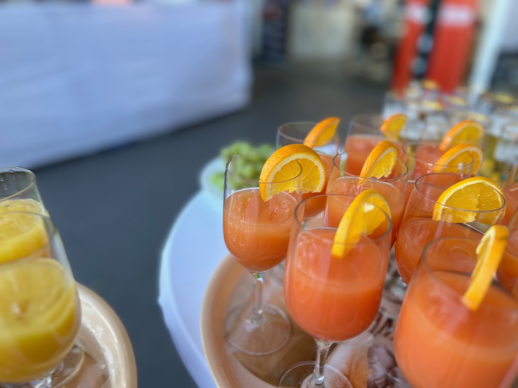 Party Gläser Set für ca. 30 Gäste /  Bier - Soft - Sekt - Wein - Schnaps - Longdrink - Glas im Paket