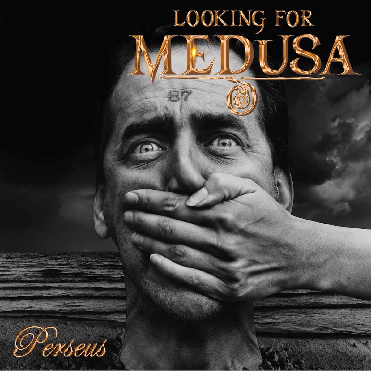 LOOKING FOR MEDUSA
