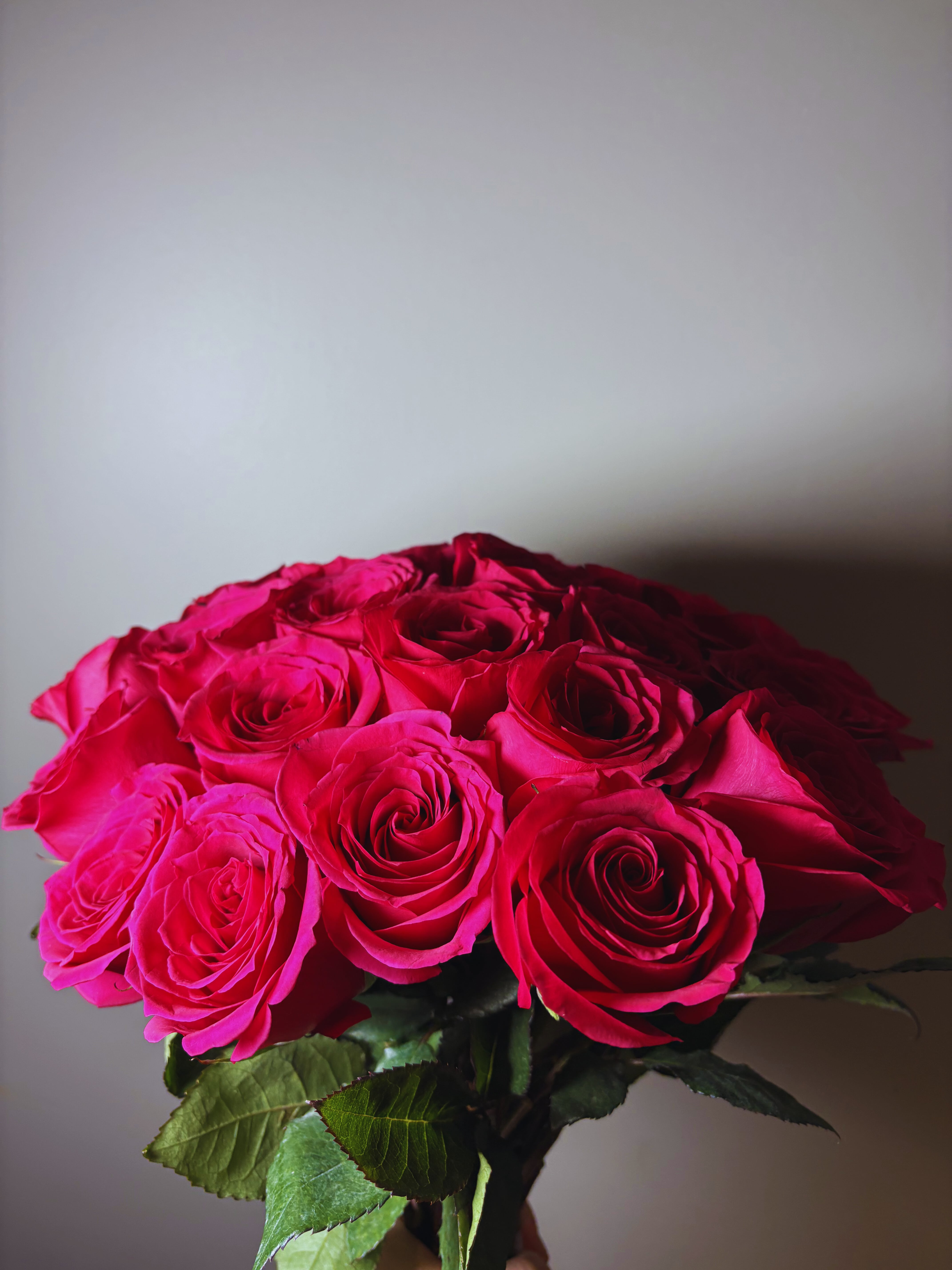 Dozen Rose Bouquet 
