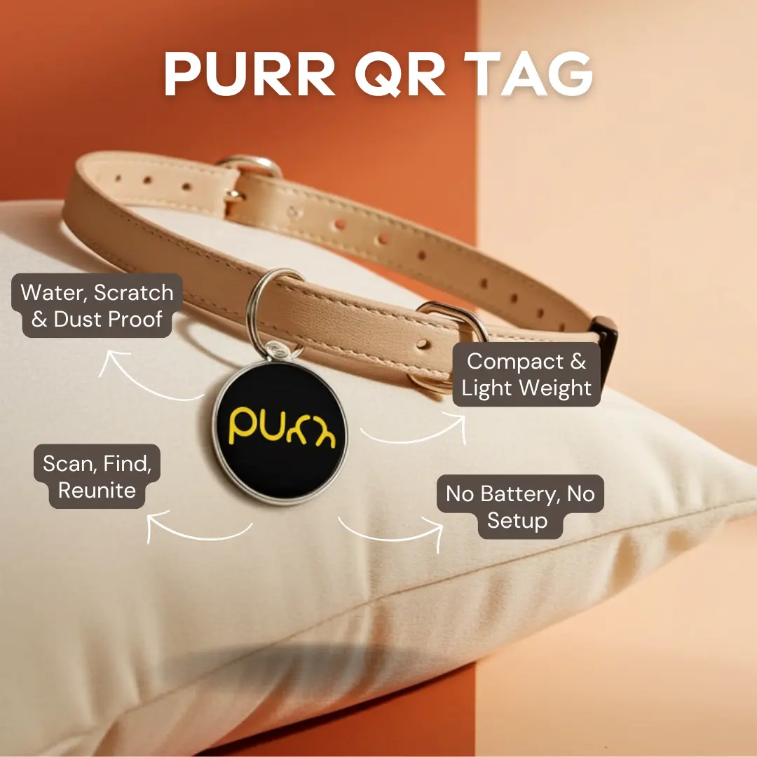Purr Tag - India's Smart, Stylish & Safety Pet Tag