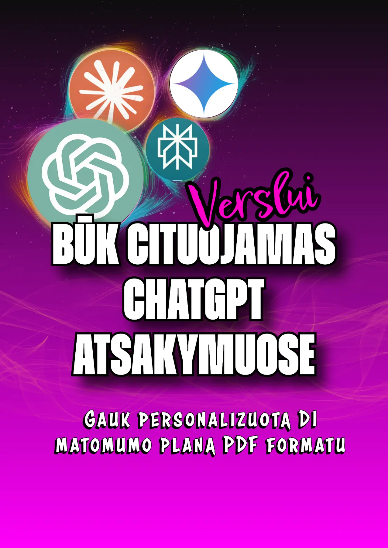 DI Matomumo auditas ir veiksmų planas