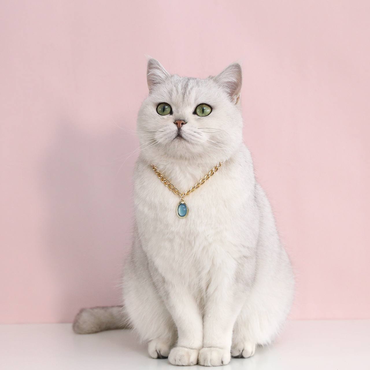Elegant Pet Necklace
