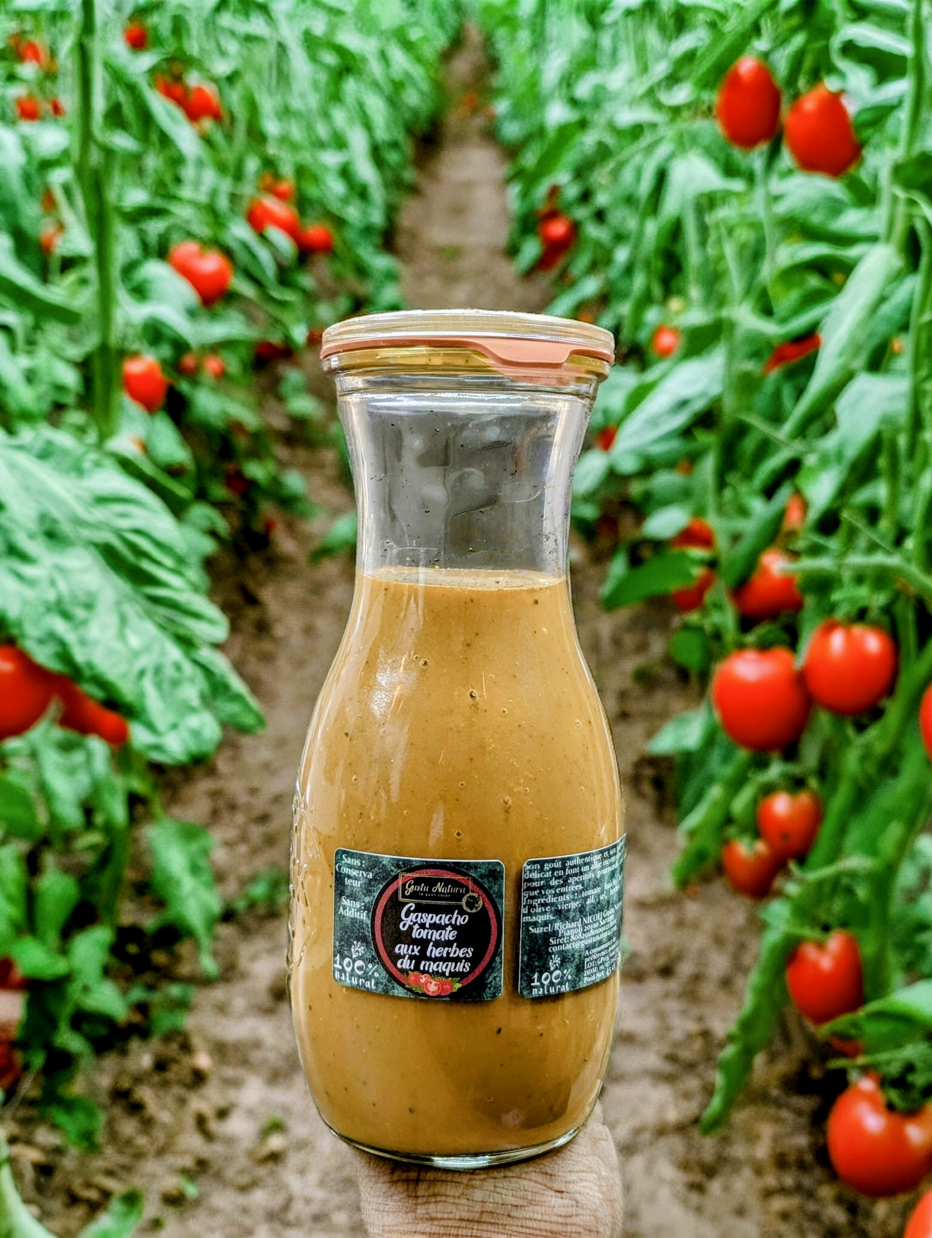 Gaspacho tomate aux herbes du maquis