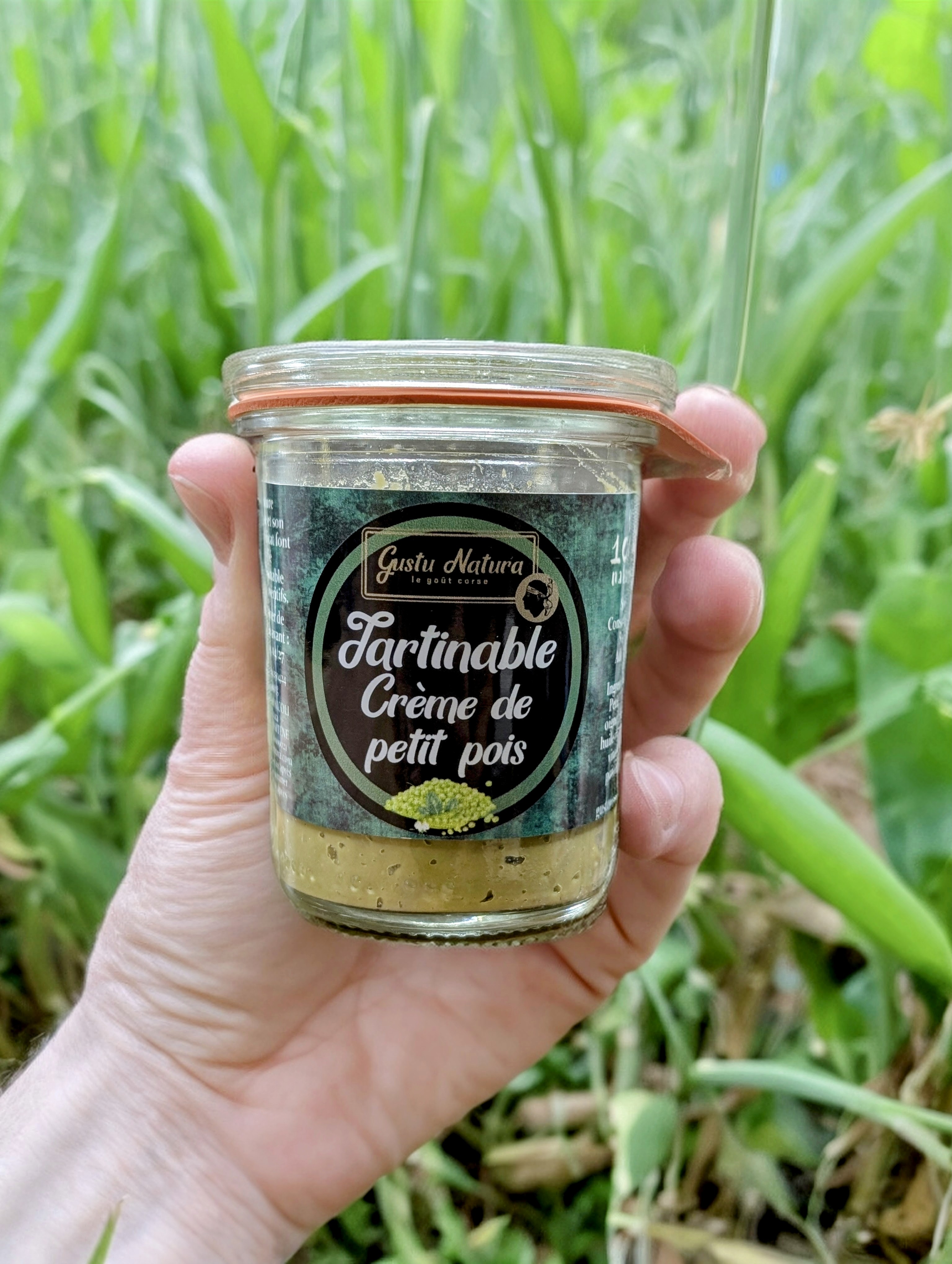 Tartinade crème de petit pois