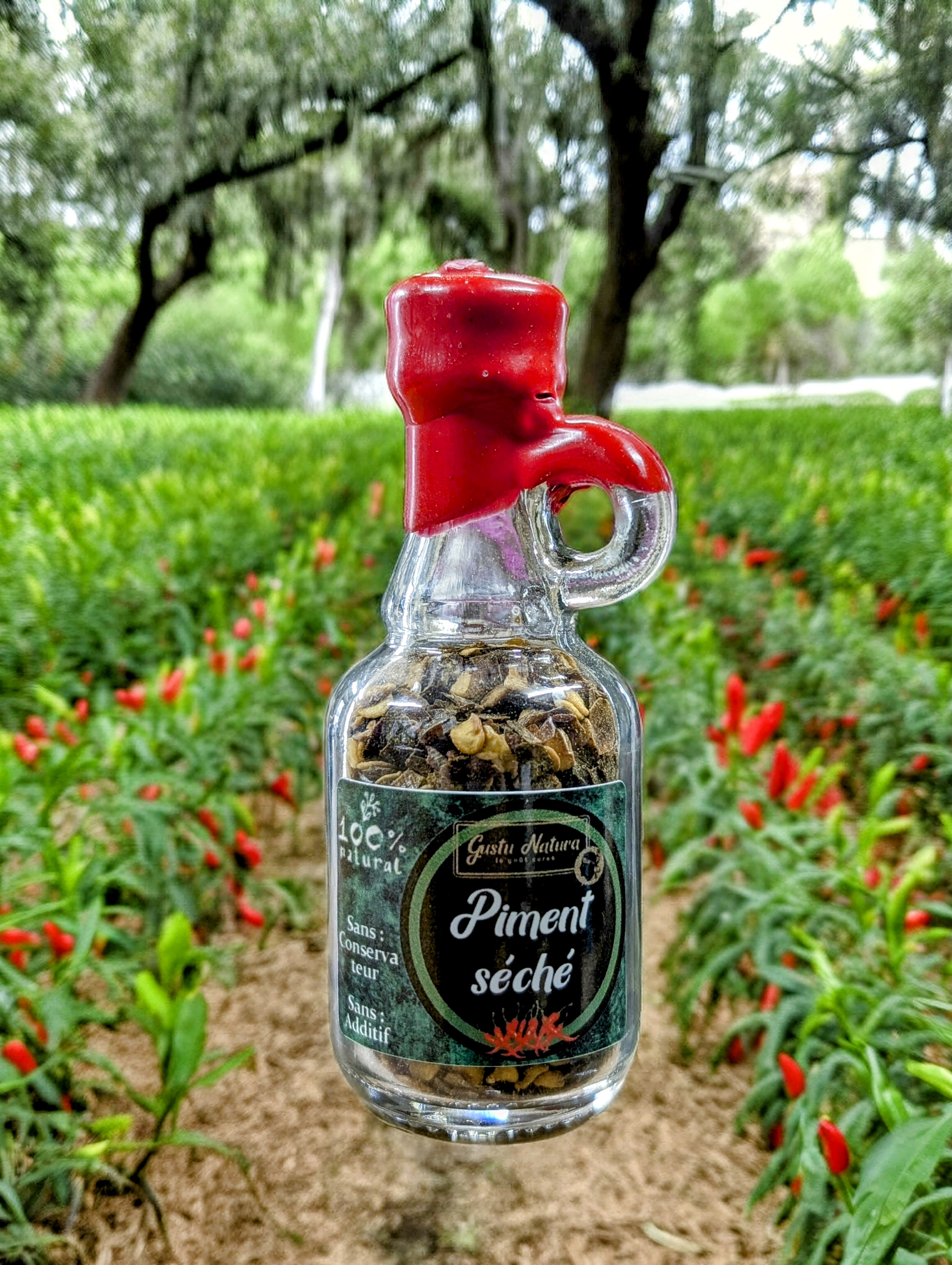 Piment séché Corse