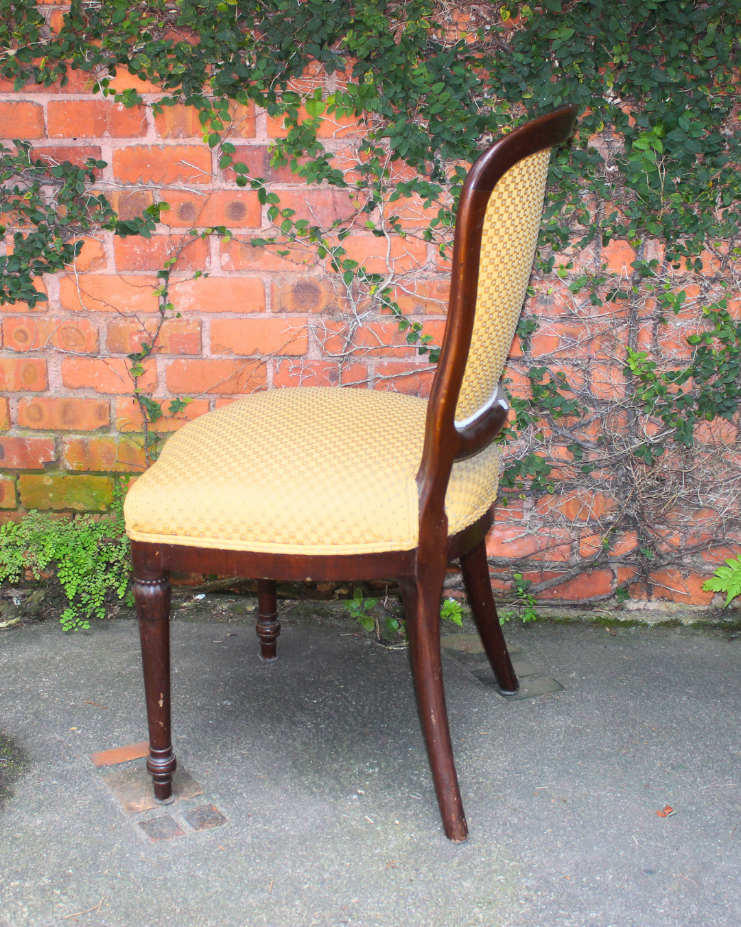 Cadeira Clássica Vintage Estilo Vitoriano/Francês - Madeira Nobre Estofado Amarelo