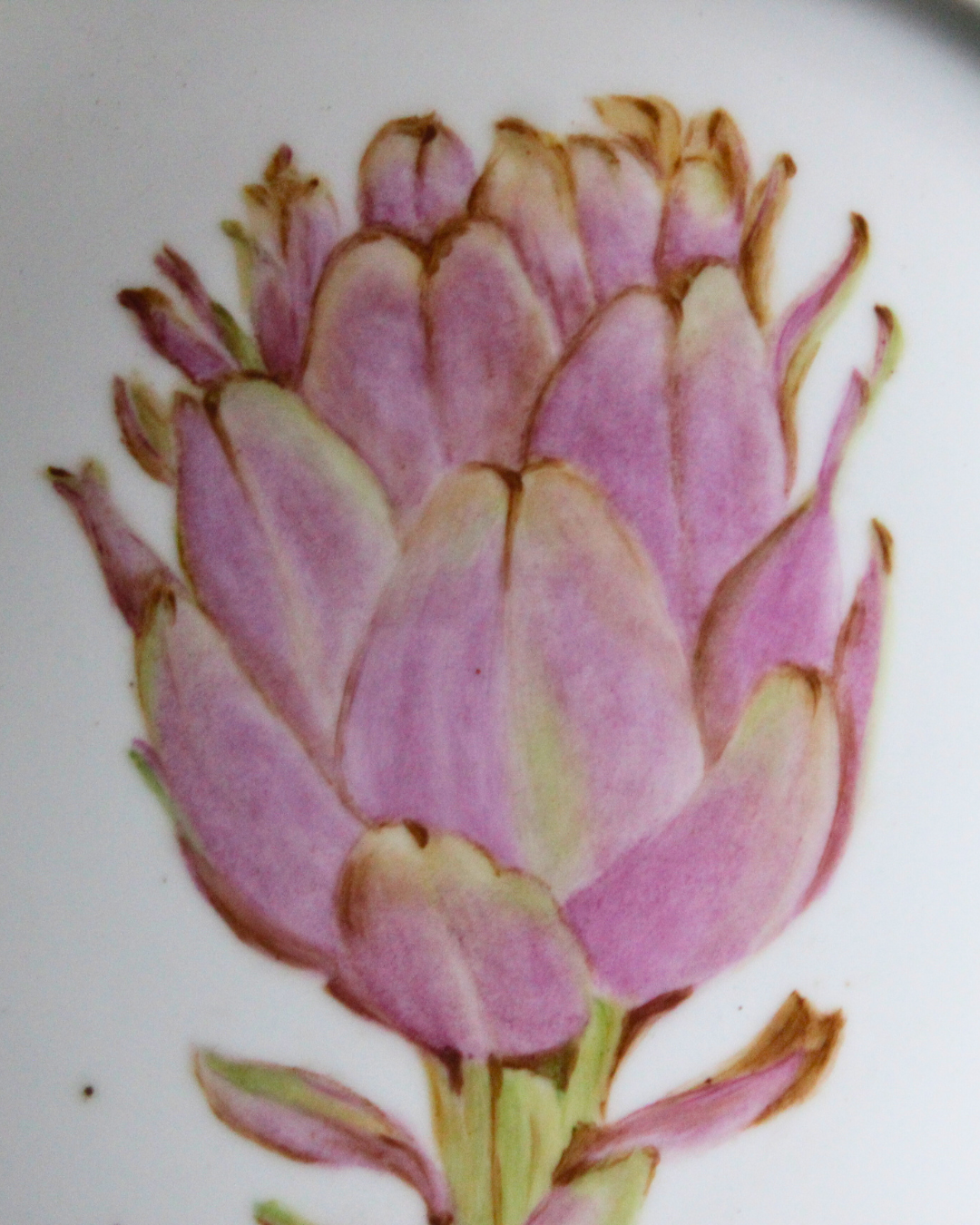 Prato Decorativo de Parede em Porcelana Pintado à Mão - Alcachofra - Assinado Angela Athayde