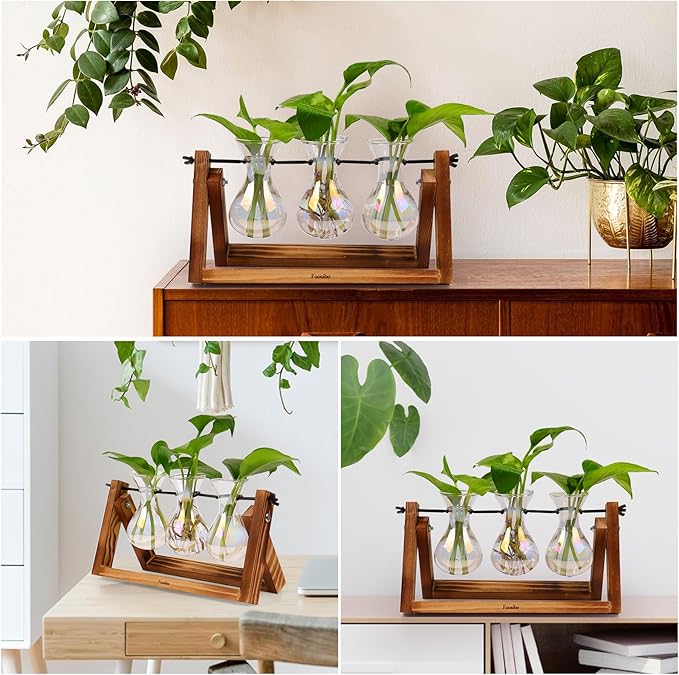 XXXFLOWER Plant Terrarium with Wooden Stand, Air Planter Bulb Glass Vase Metal Swivel Holder Retro Tabletop for Hydroponics Home Garden Office Decoration - 3 Bulb Vase