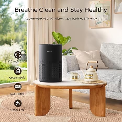 Air Purifier 